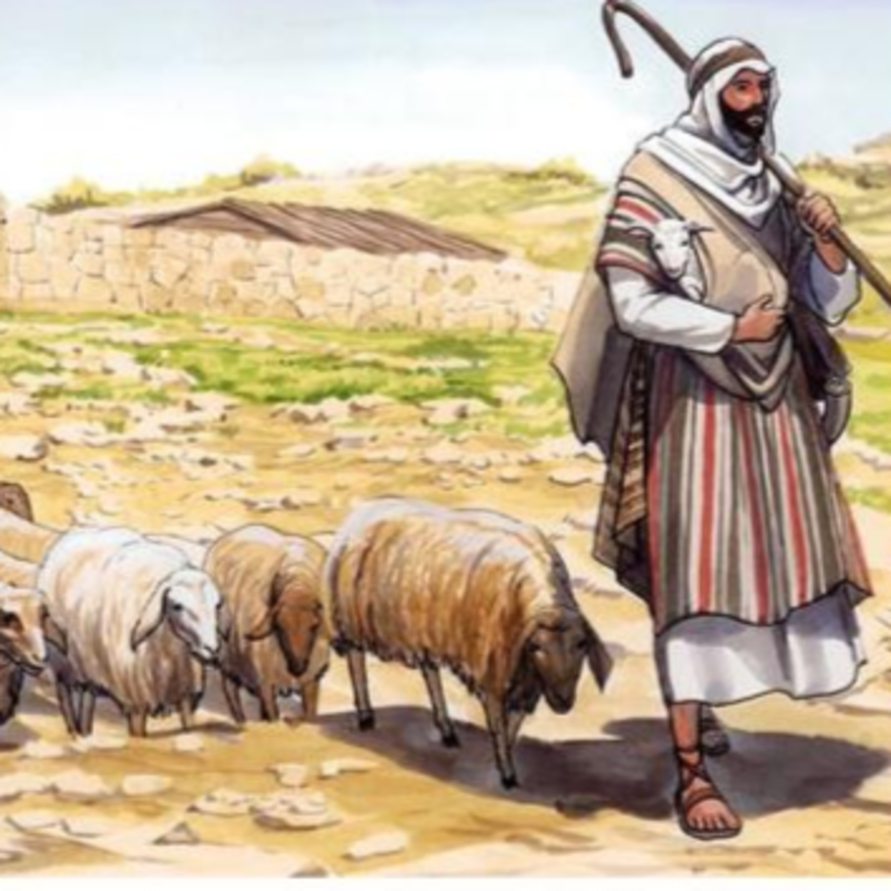 The Story of Jesus Life for Children