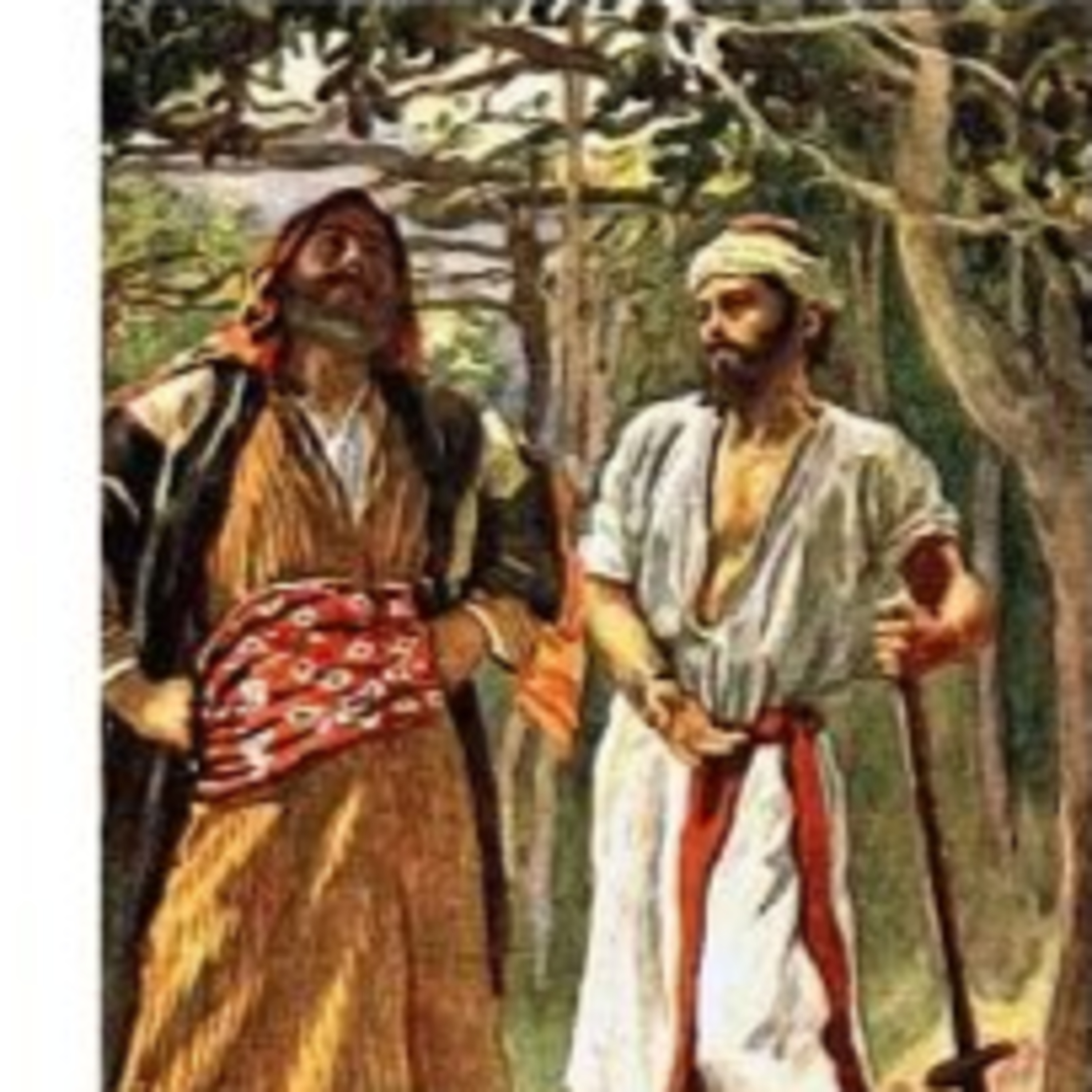 The Story of Jesus Life for Children