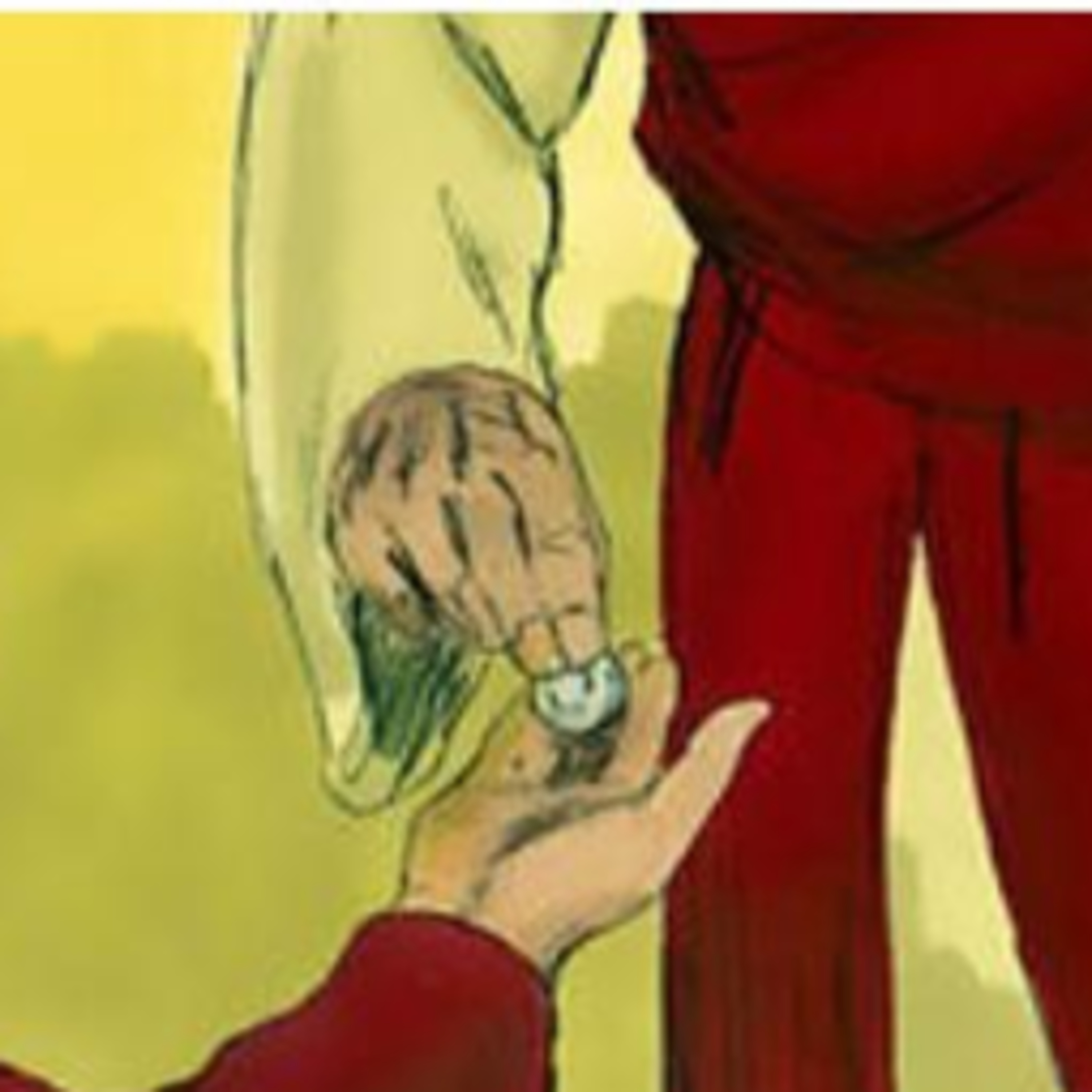 The Story of Jesus Life for Children