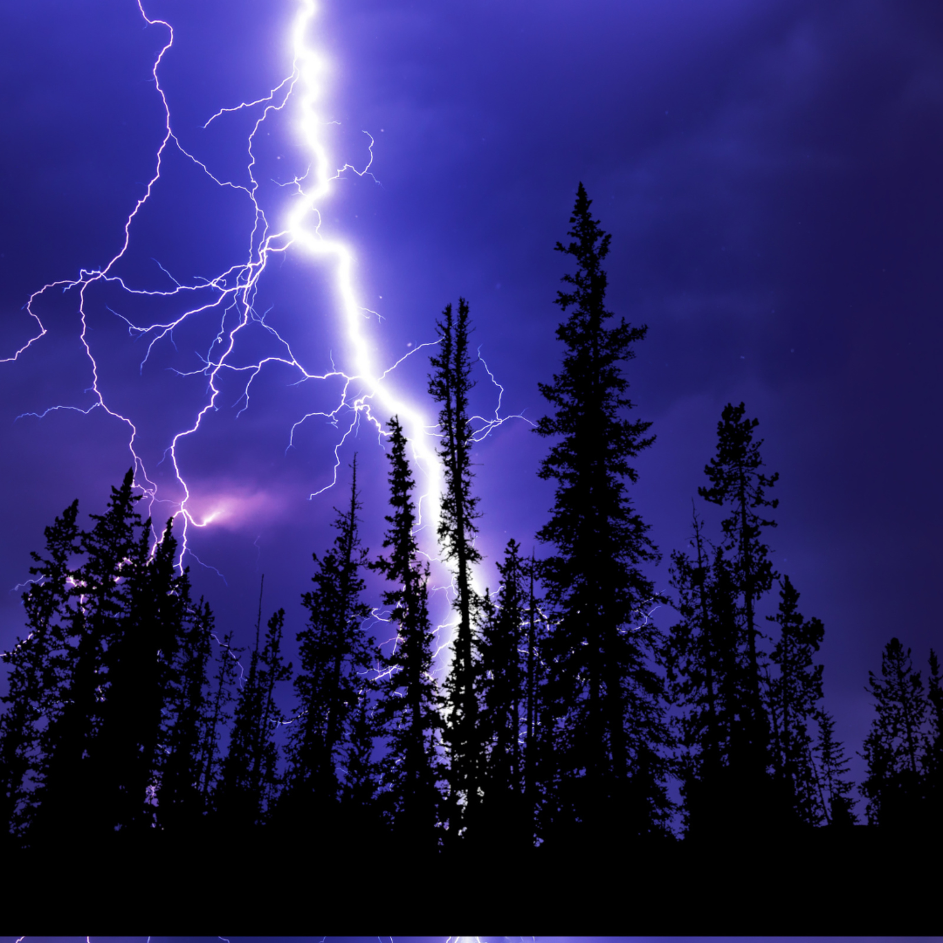 Nature Sounds: Thunderstorm episode artwork