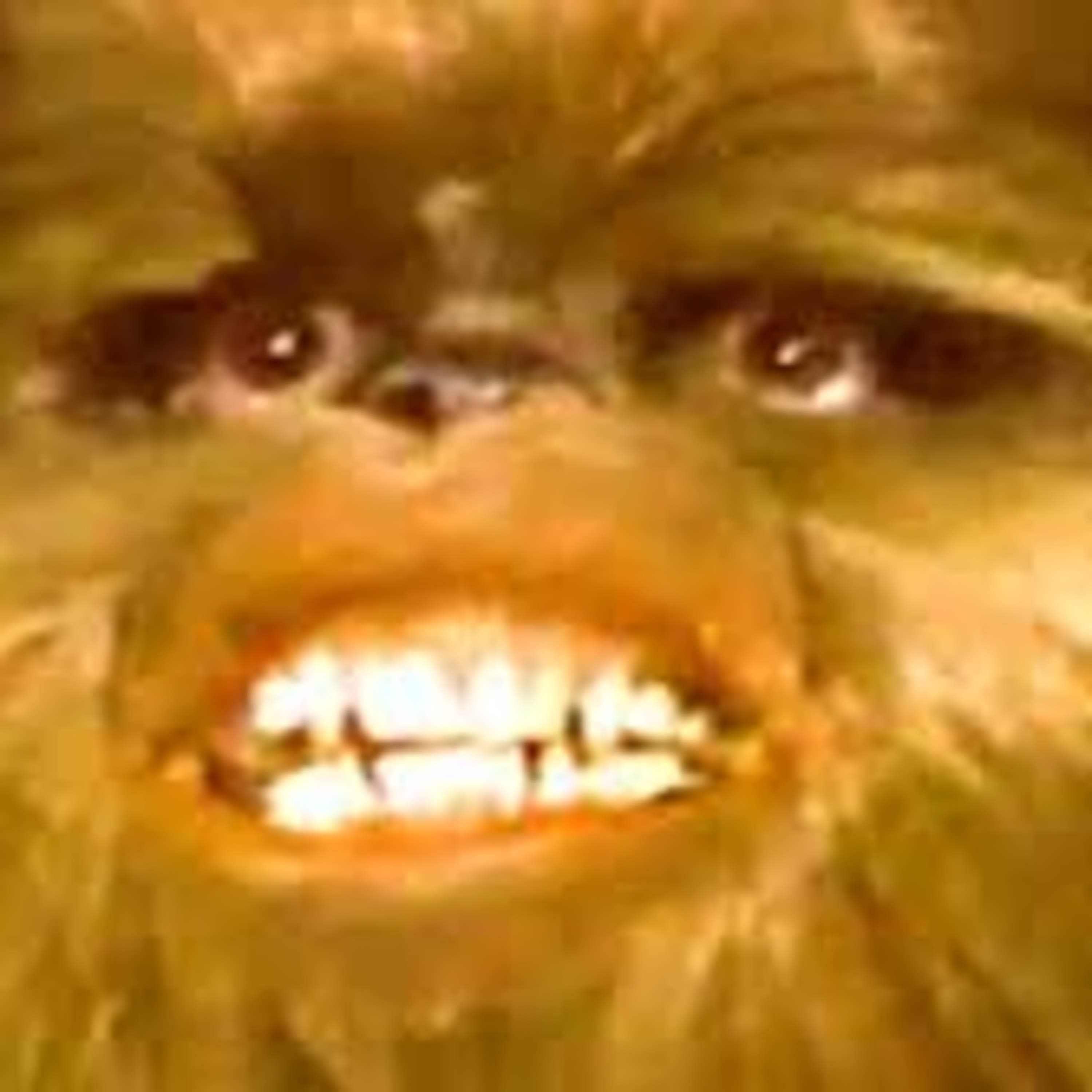 Episode Two - The Star Wars Holiday Special