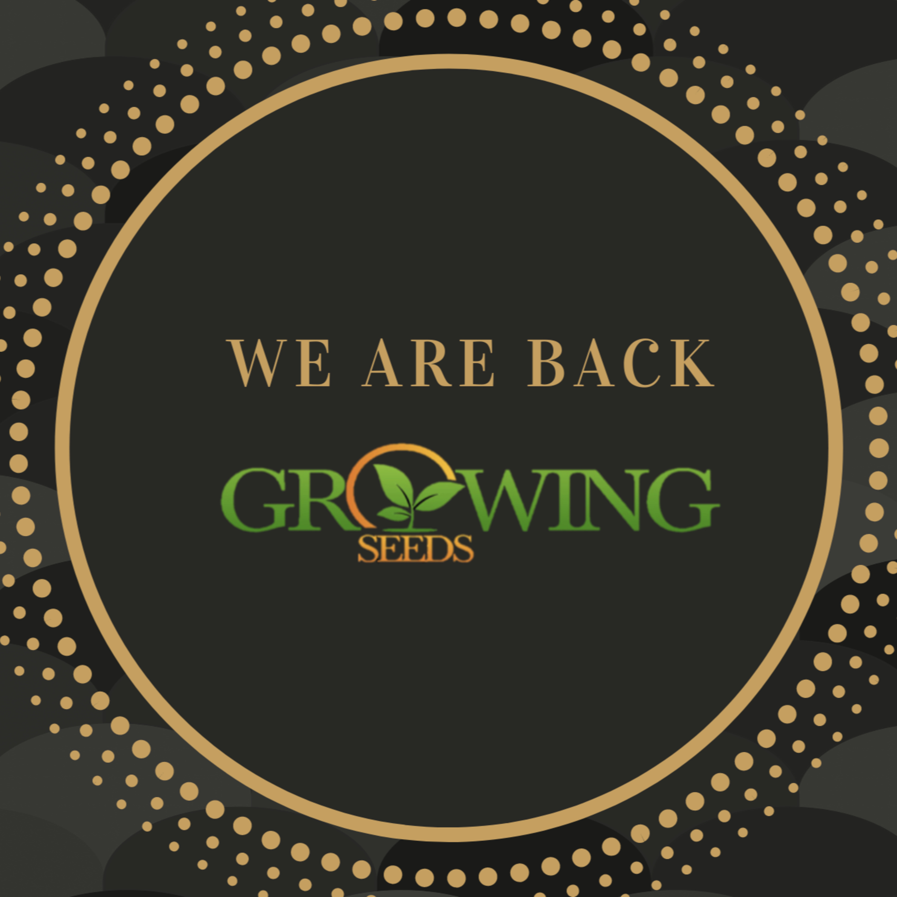 WE ARE BACK!!
