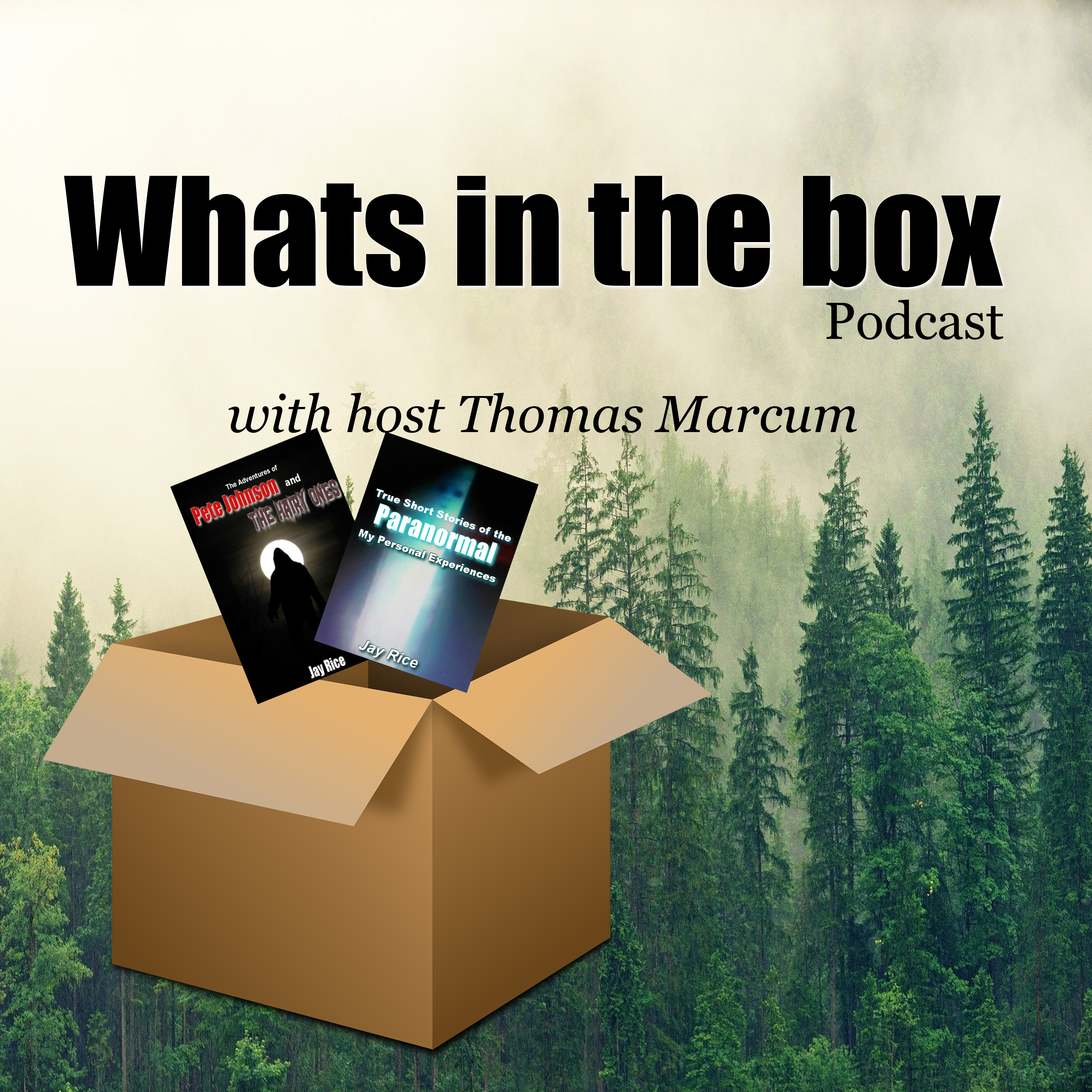 Whats In The Box