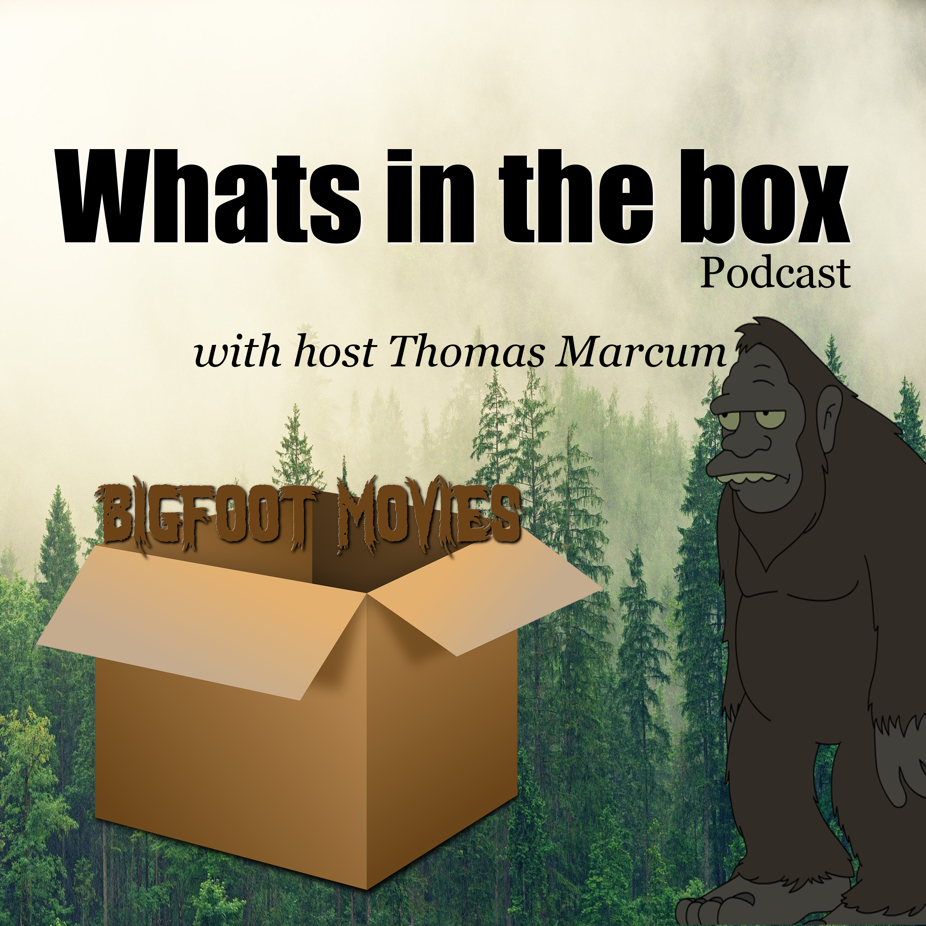 Whats In The Box
