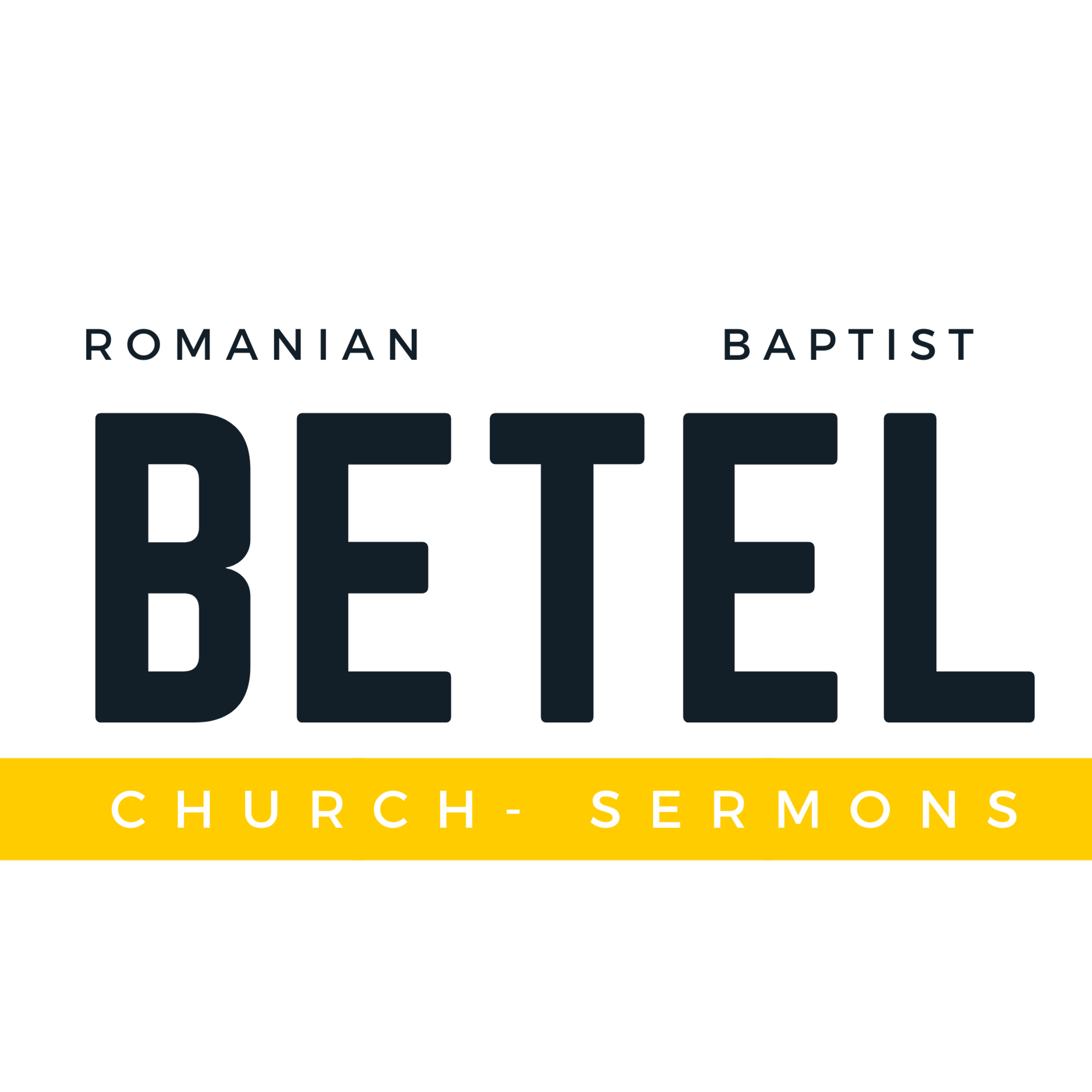 Sermon - Fr. Petrica Ordeanu 1/2/22 episode artwork