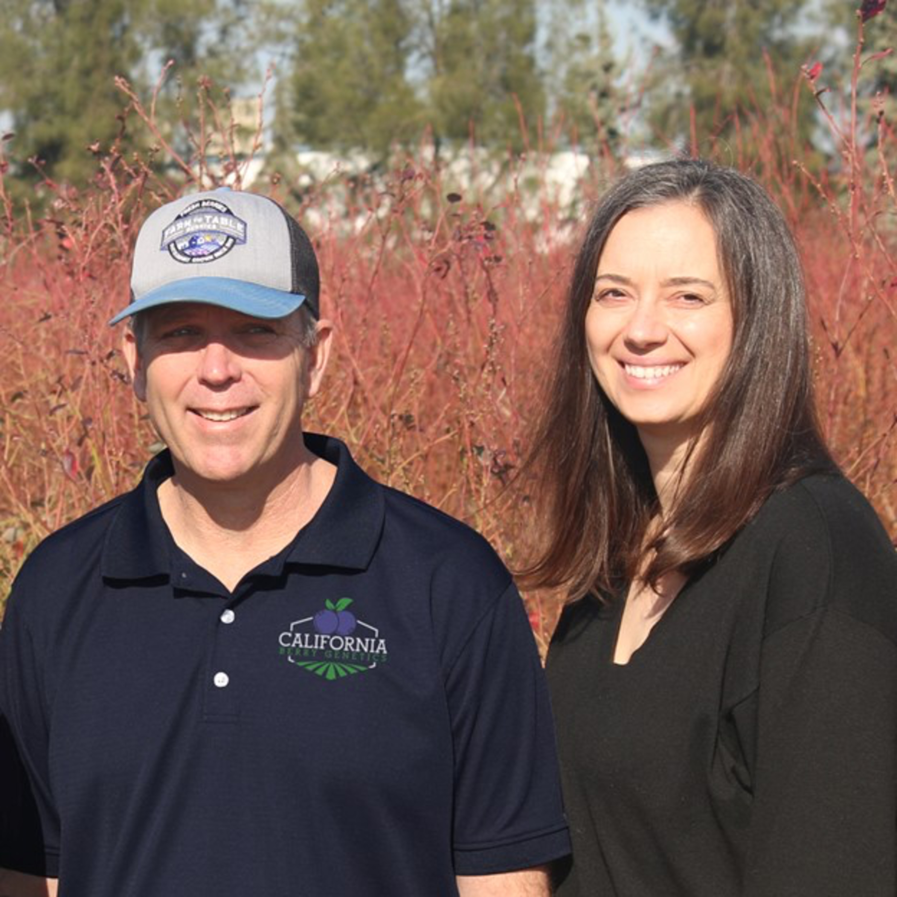 California Berry Genetics Offering Superior Blueberry Varieties