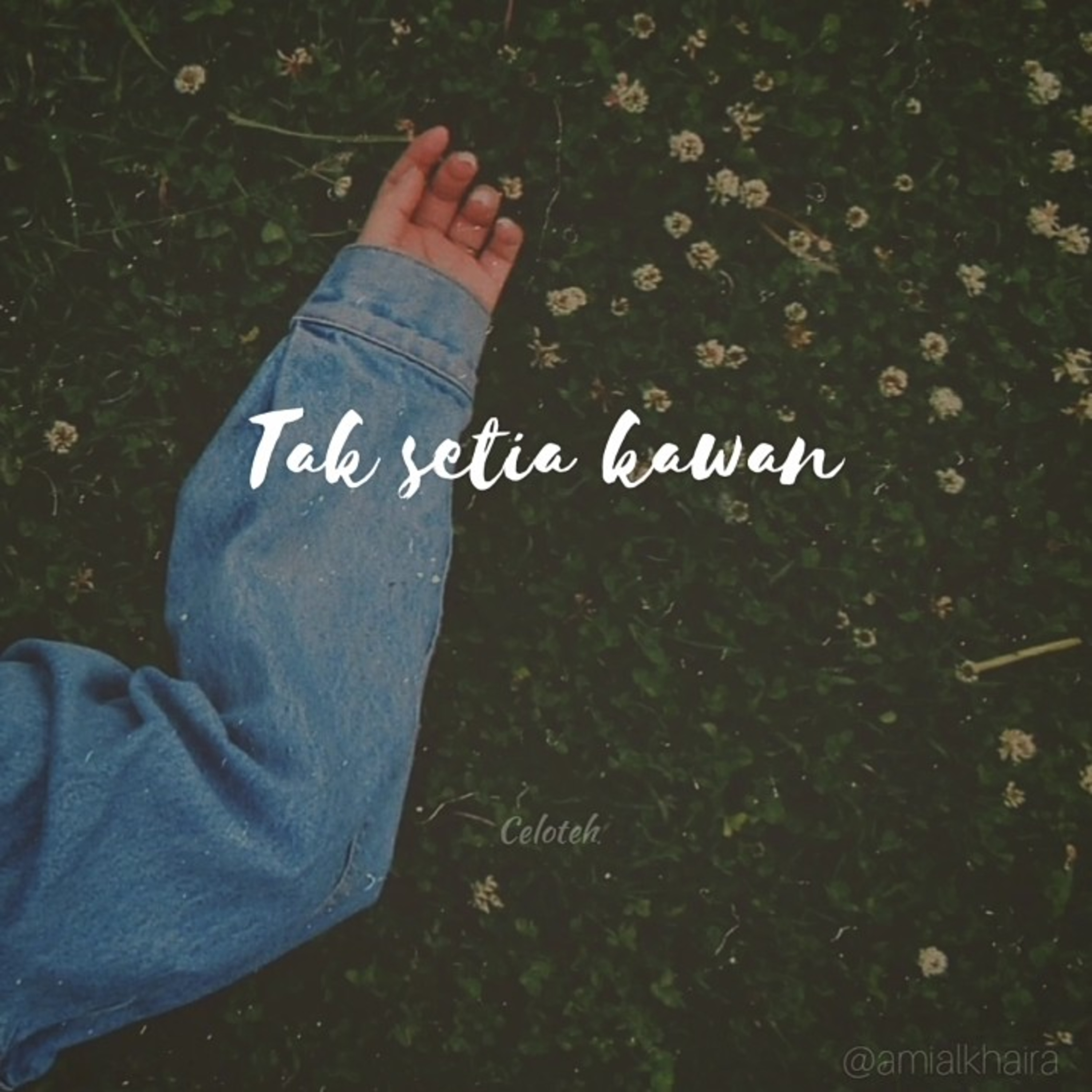 Berisi.k