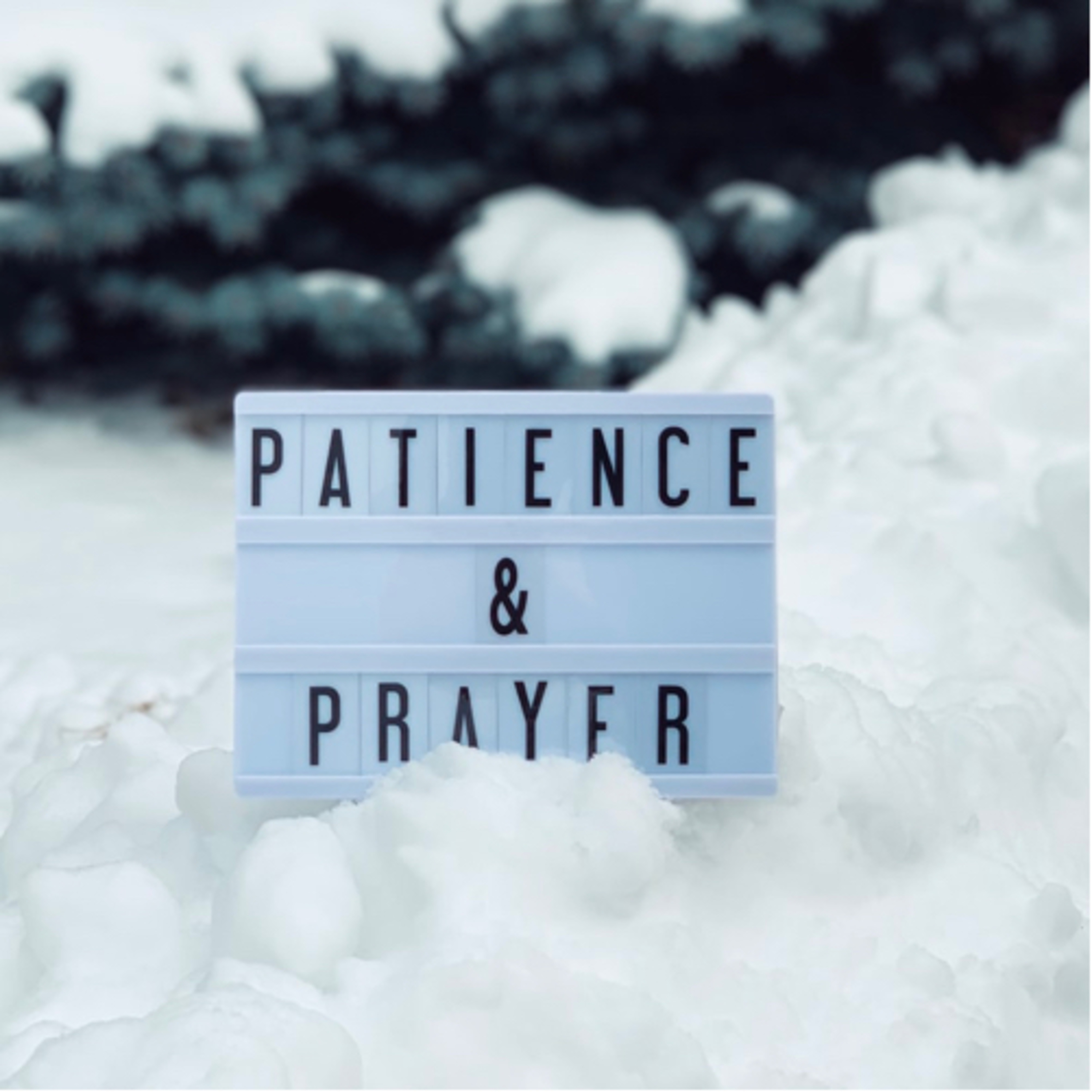 Patience is Key 🔑  episode artwork