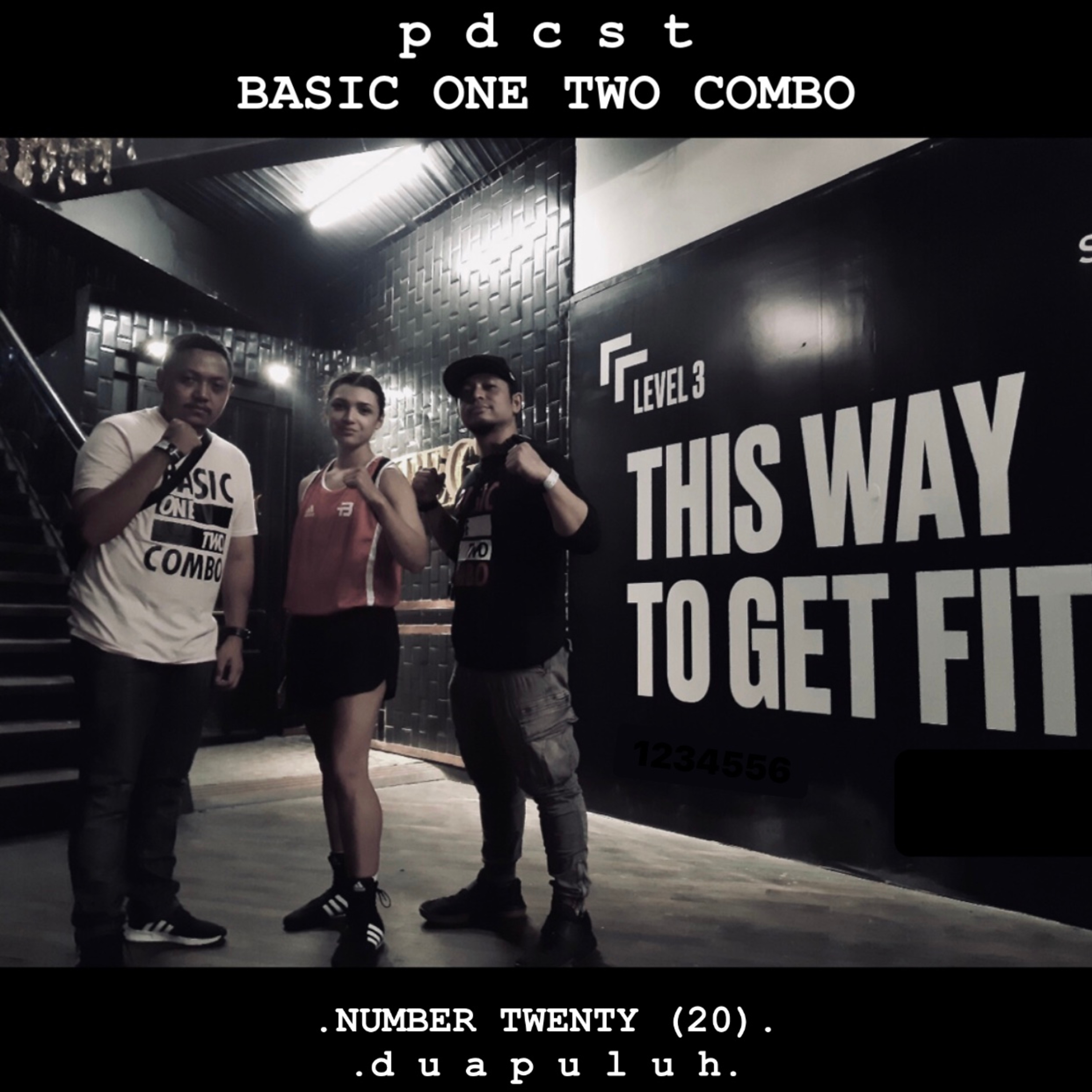Basic One-Two Combo