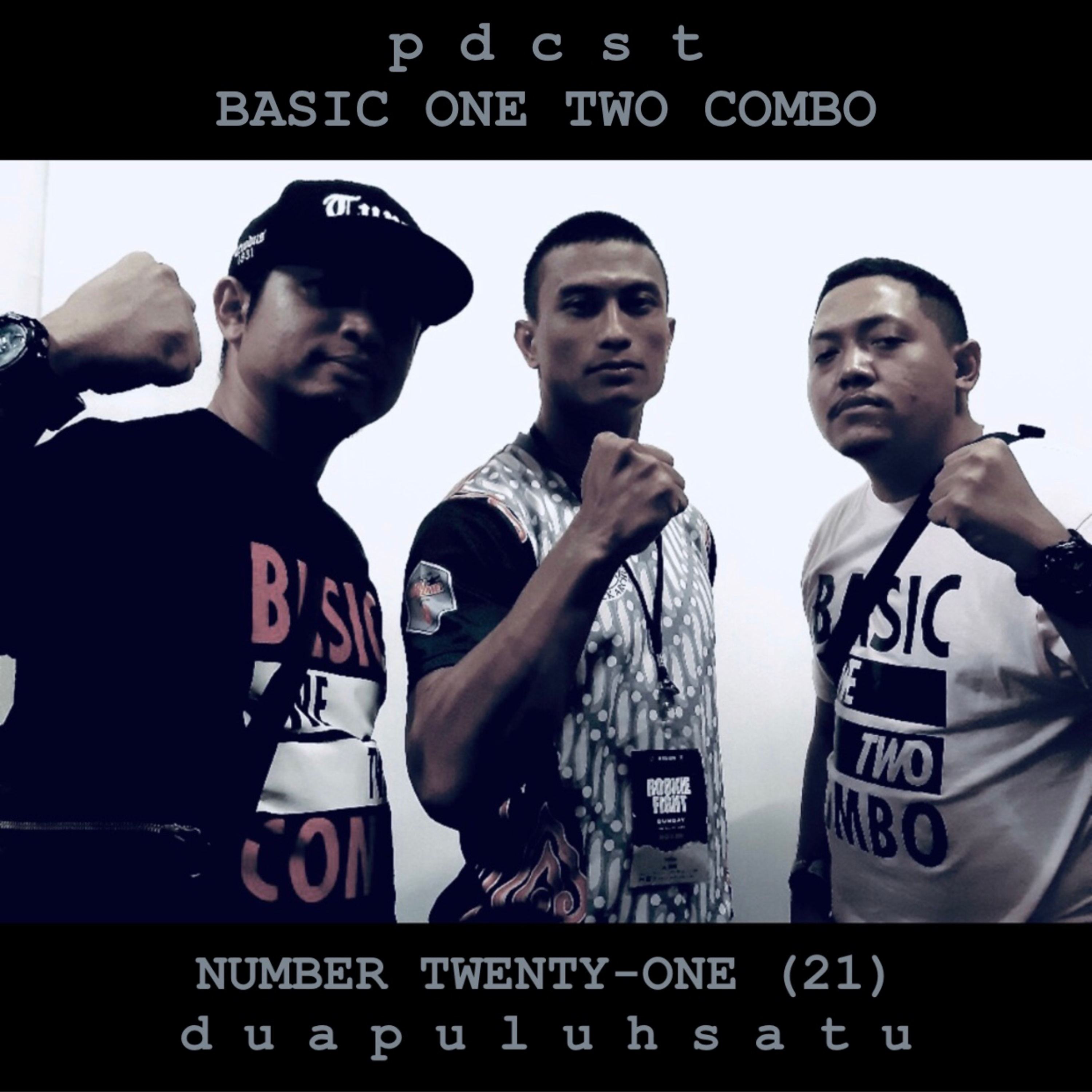 Basic One-Two Combo