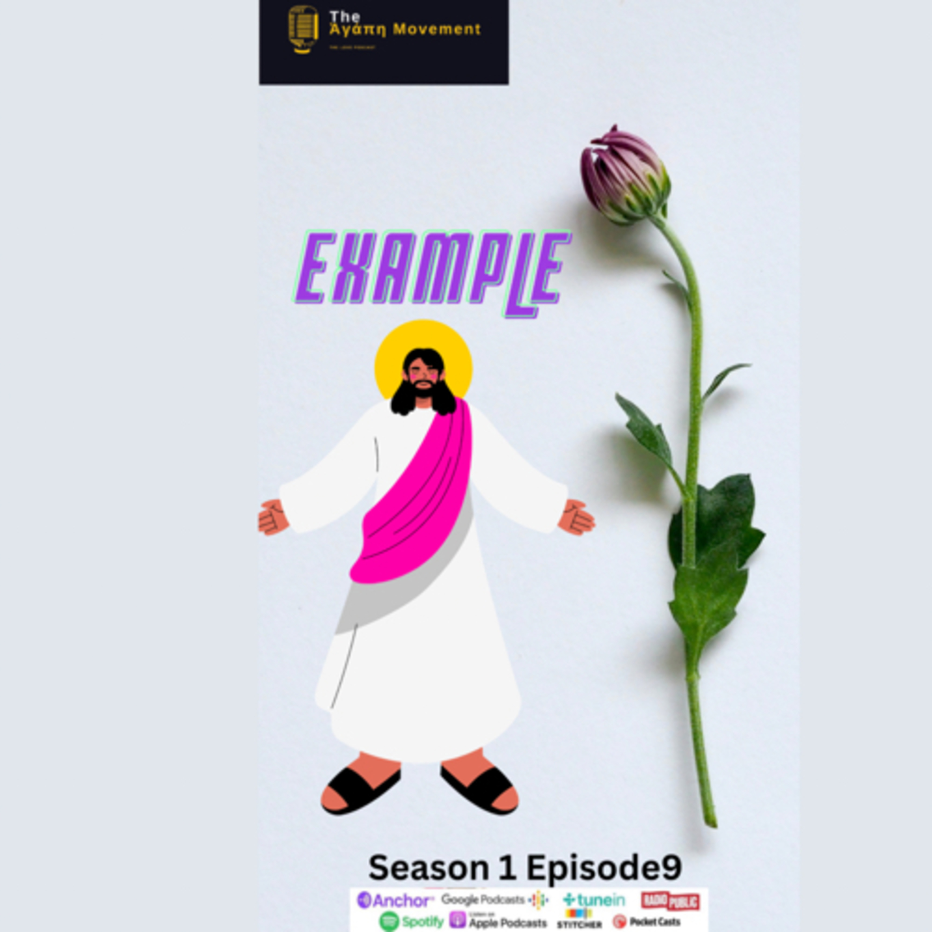 Example  episode artwork
