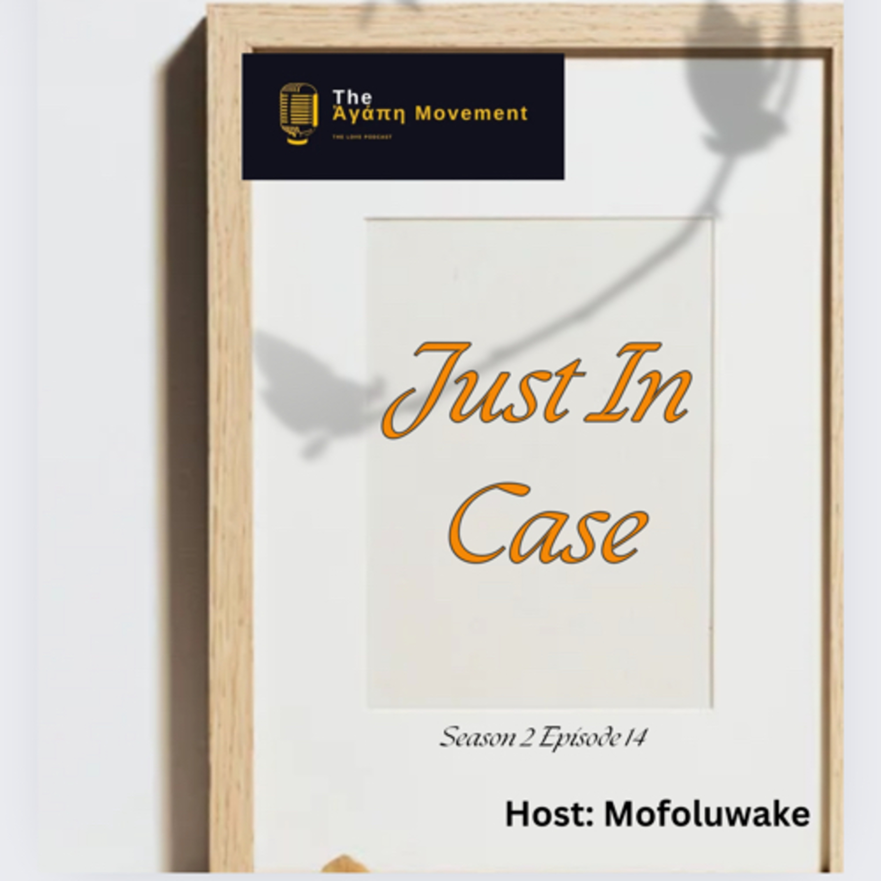 JUST IN CASE; YOU FORGOT OR NO ONE TOLD YOU.  episode artwork