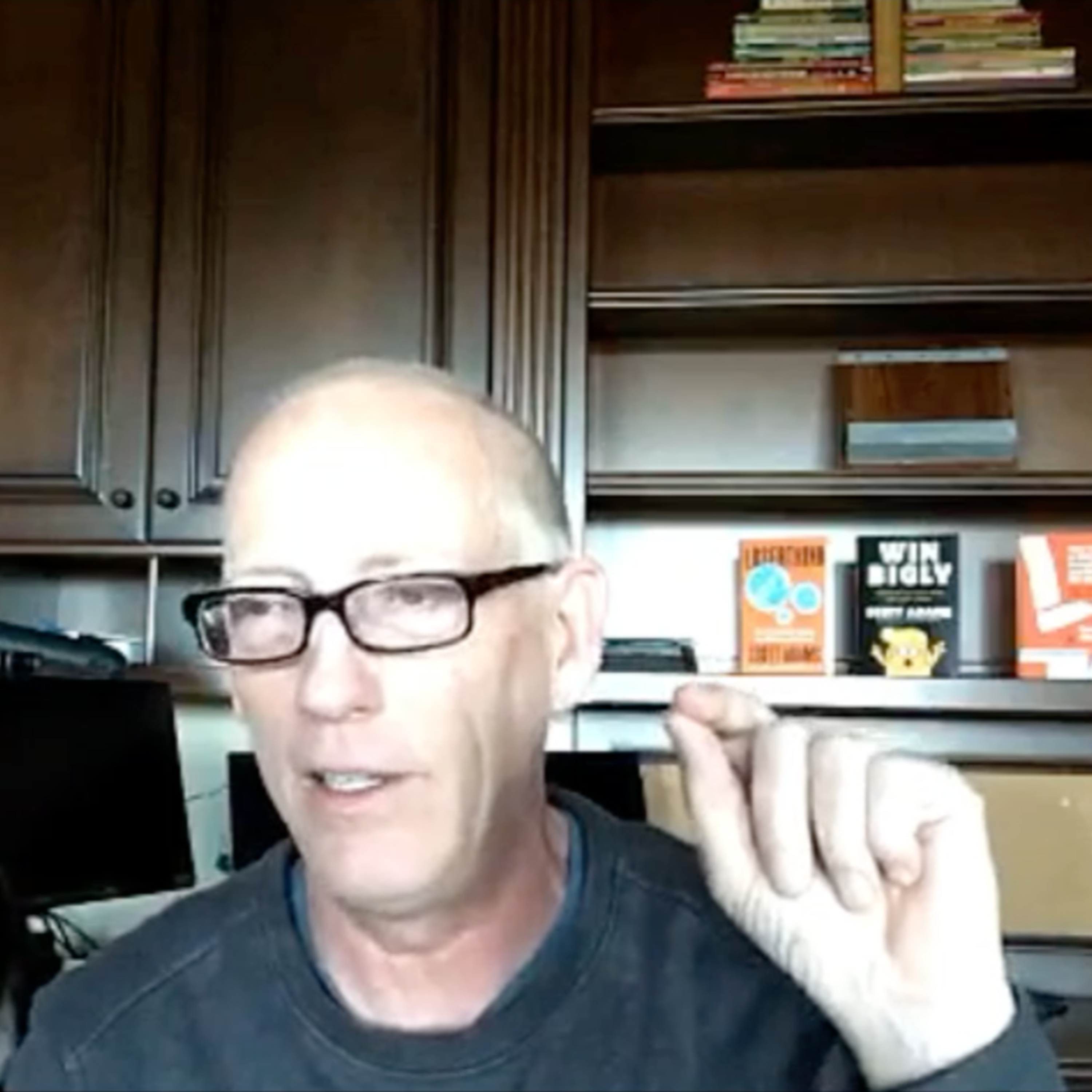 Episode 835 Scott Adams: #HOAX8, Travel Restrictions, Large Gatherings, Peace in Afghanistan, How to Cure Terrorism