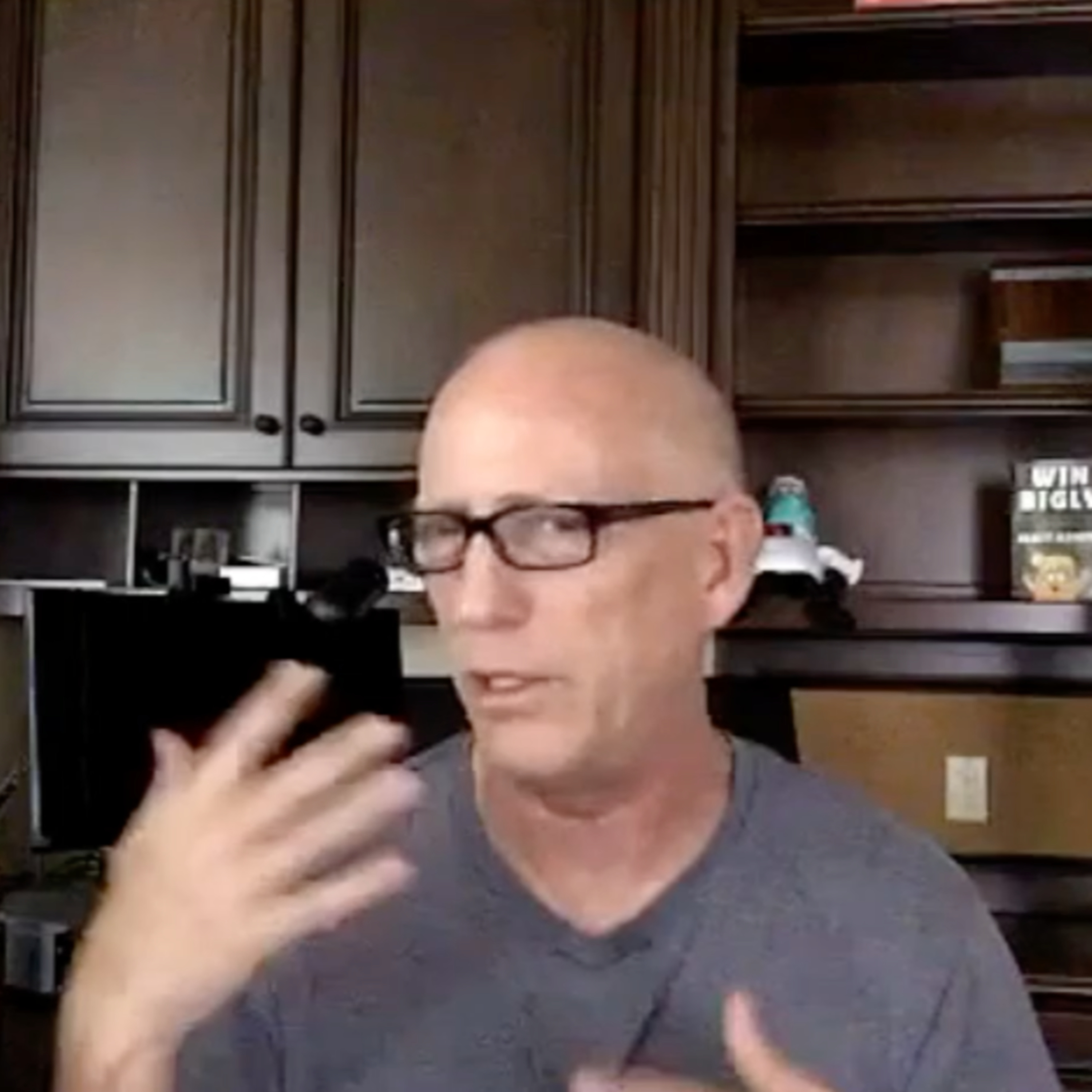 Episode 1046 Scott Adams: #BLM, Strategy, HCQ, Kamala, Fixing Schools and More