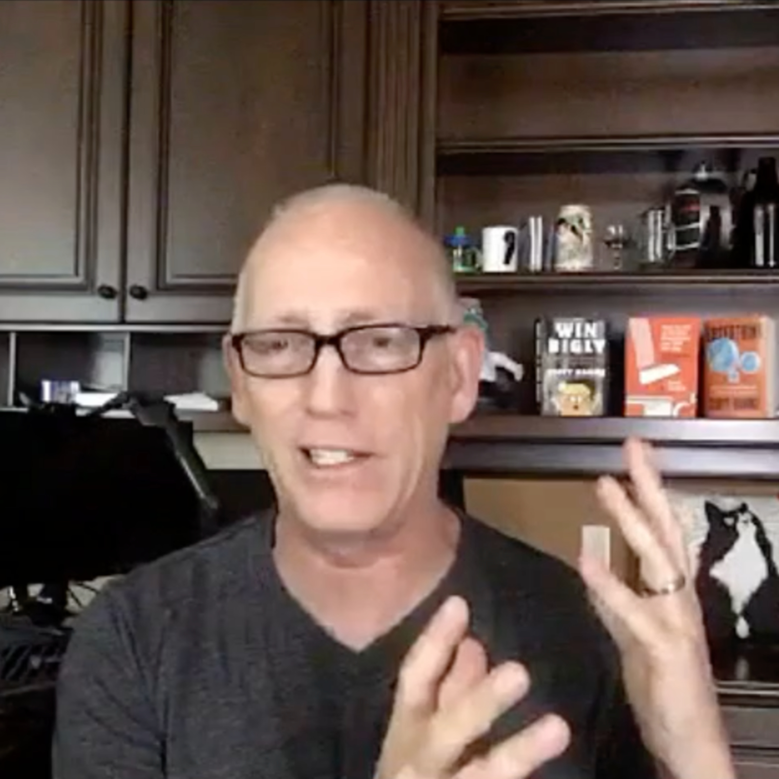 Episode 1119 Scott Adams: All the New Fake News, People Who Are Bad at Analysis and Don't Know it, Netflix Should be in Jail, Woodward