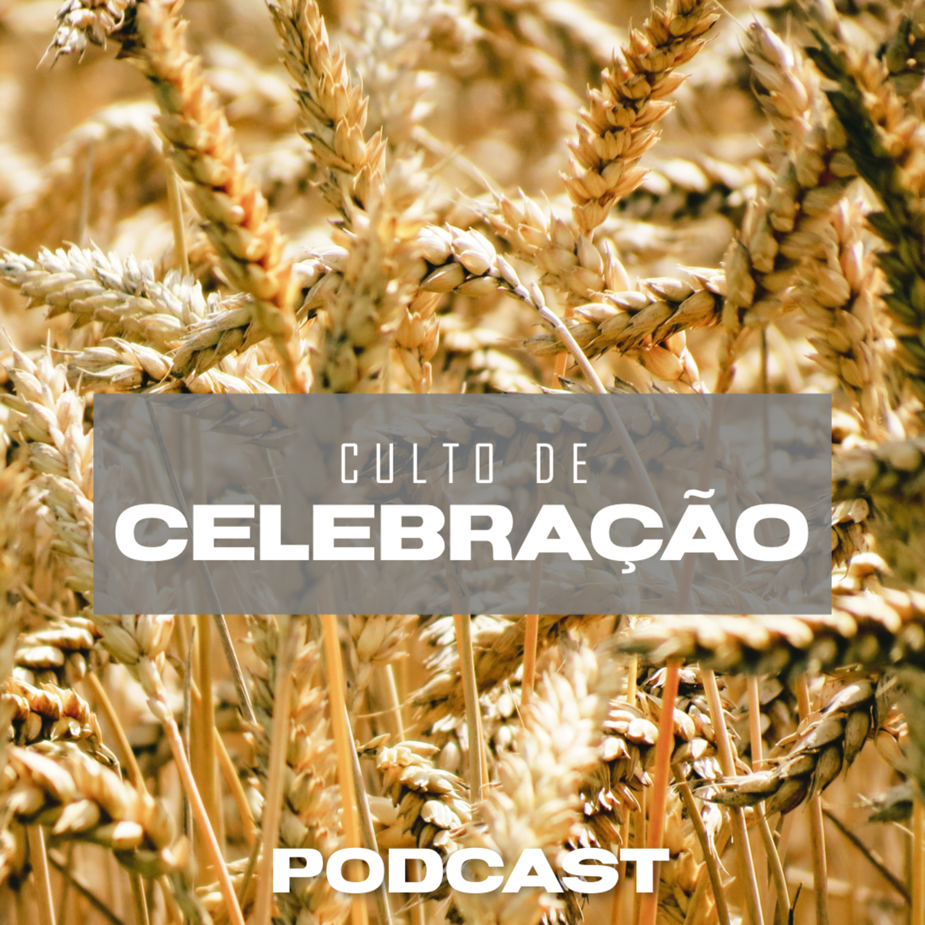 Transformação Pessoal Pelo Poder do Espírito Santo - Bispo Rocha episode artwork