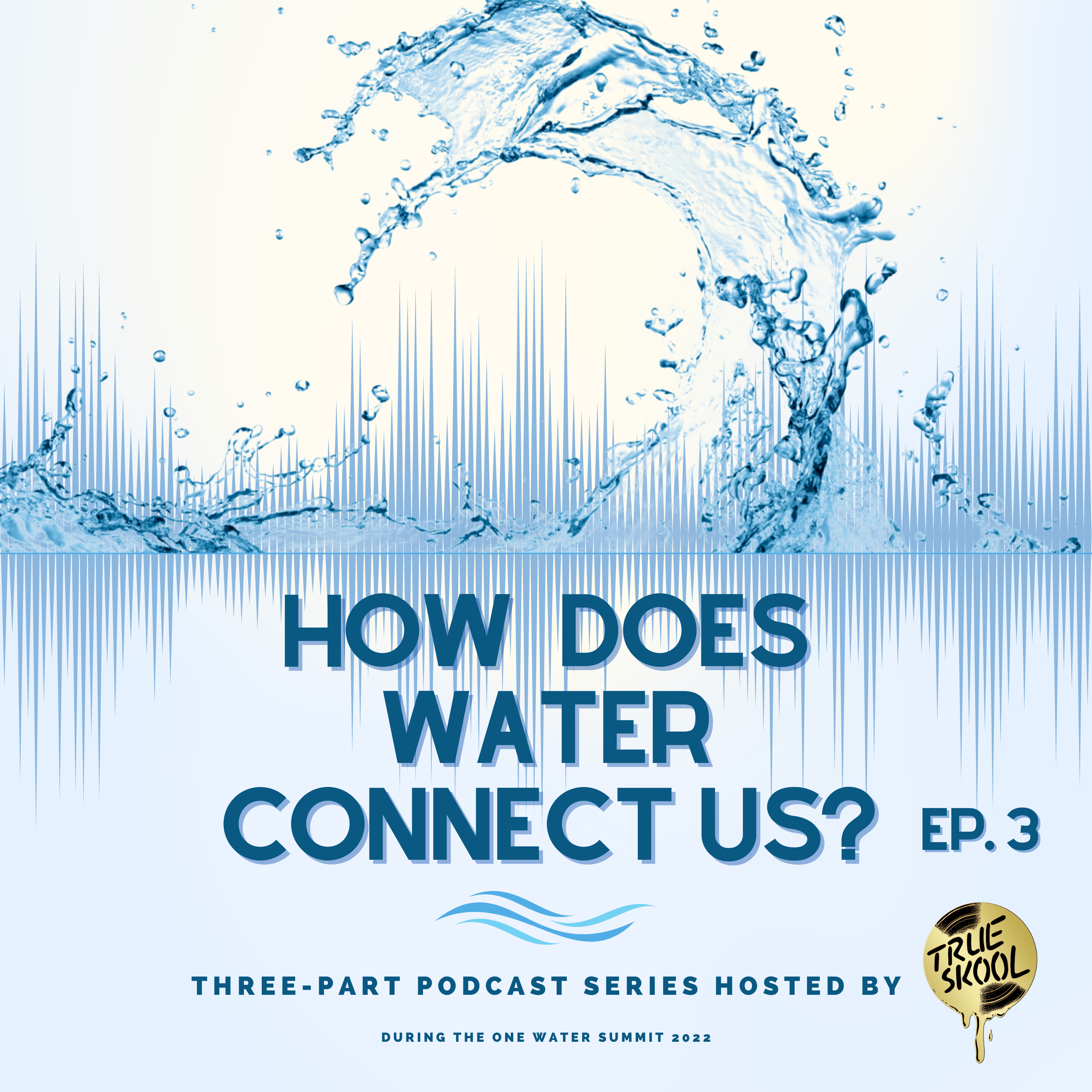 TRUE Skool Podcast Network