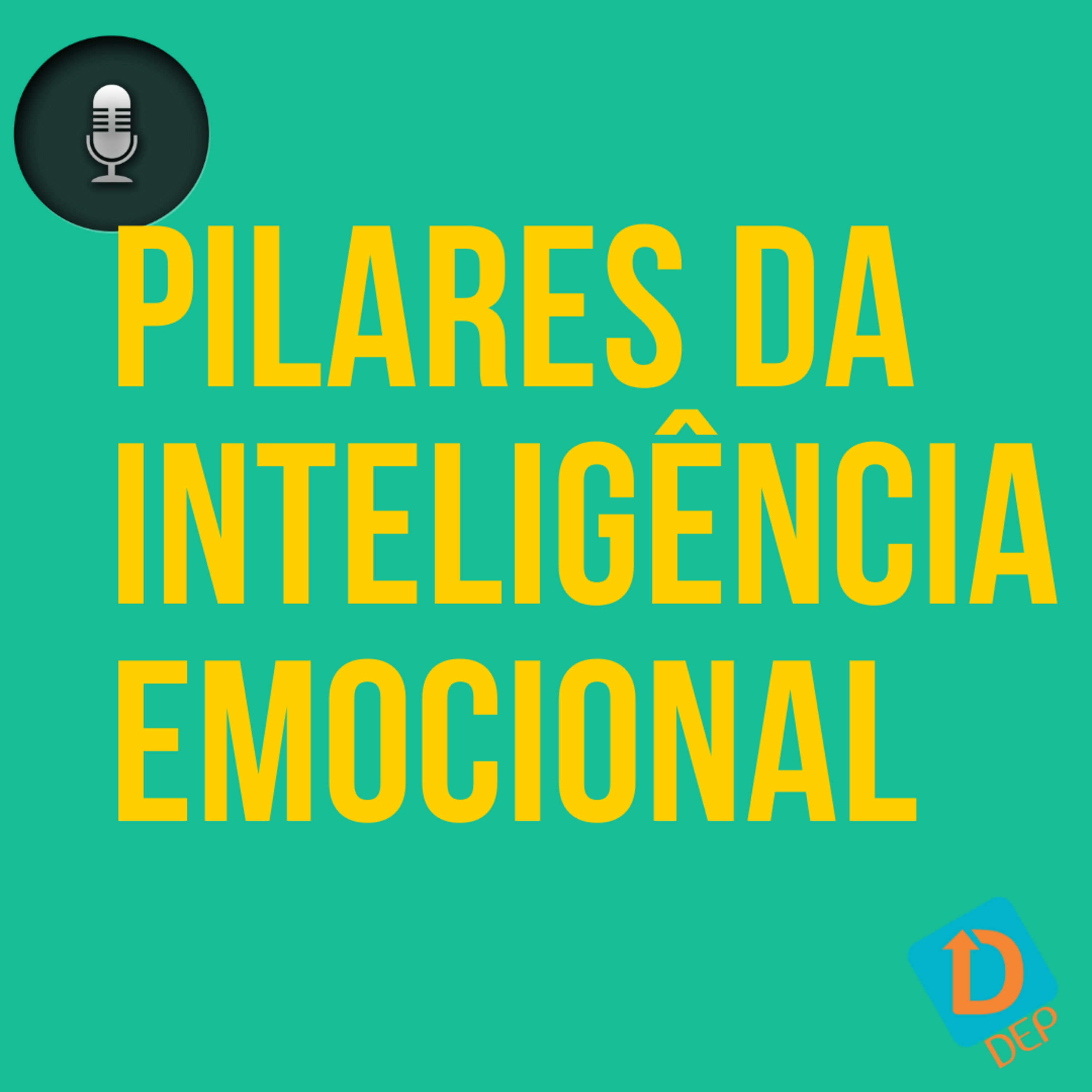 #3 episódio - Dicas para os 5 Pilares da IE