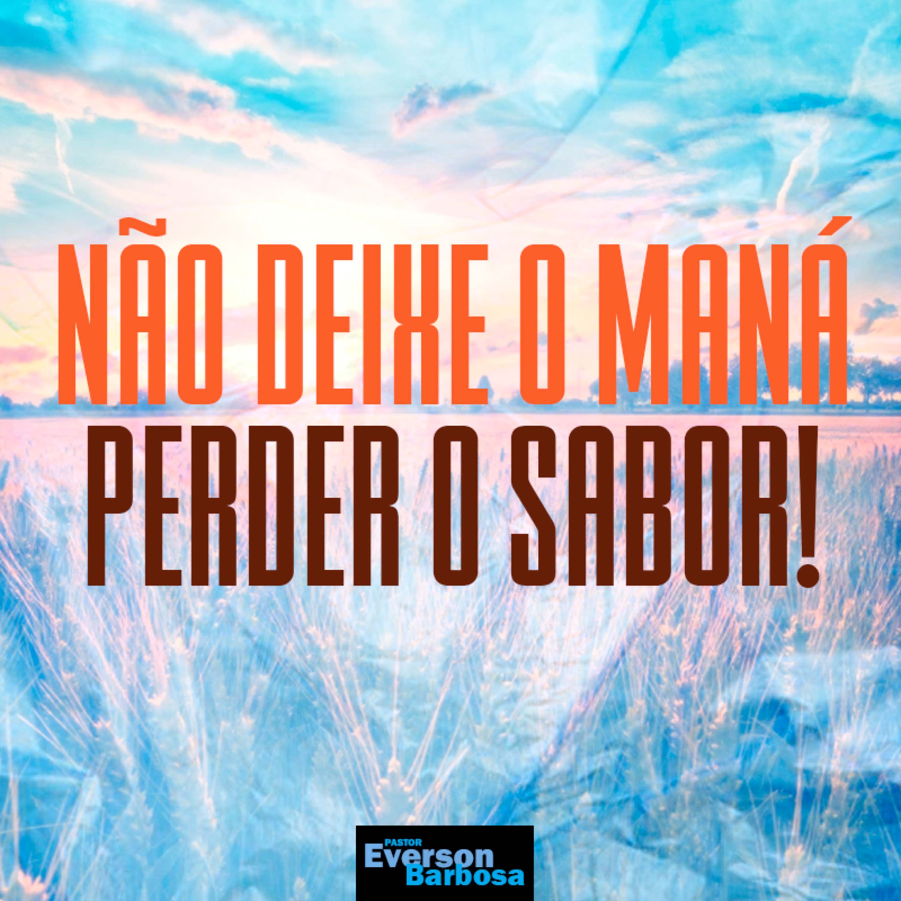 Everson Barbosa
