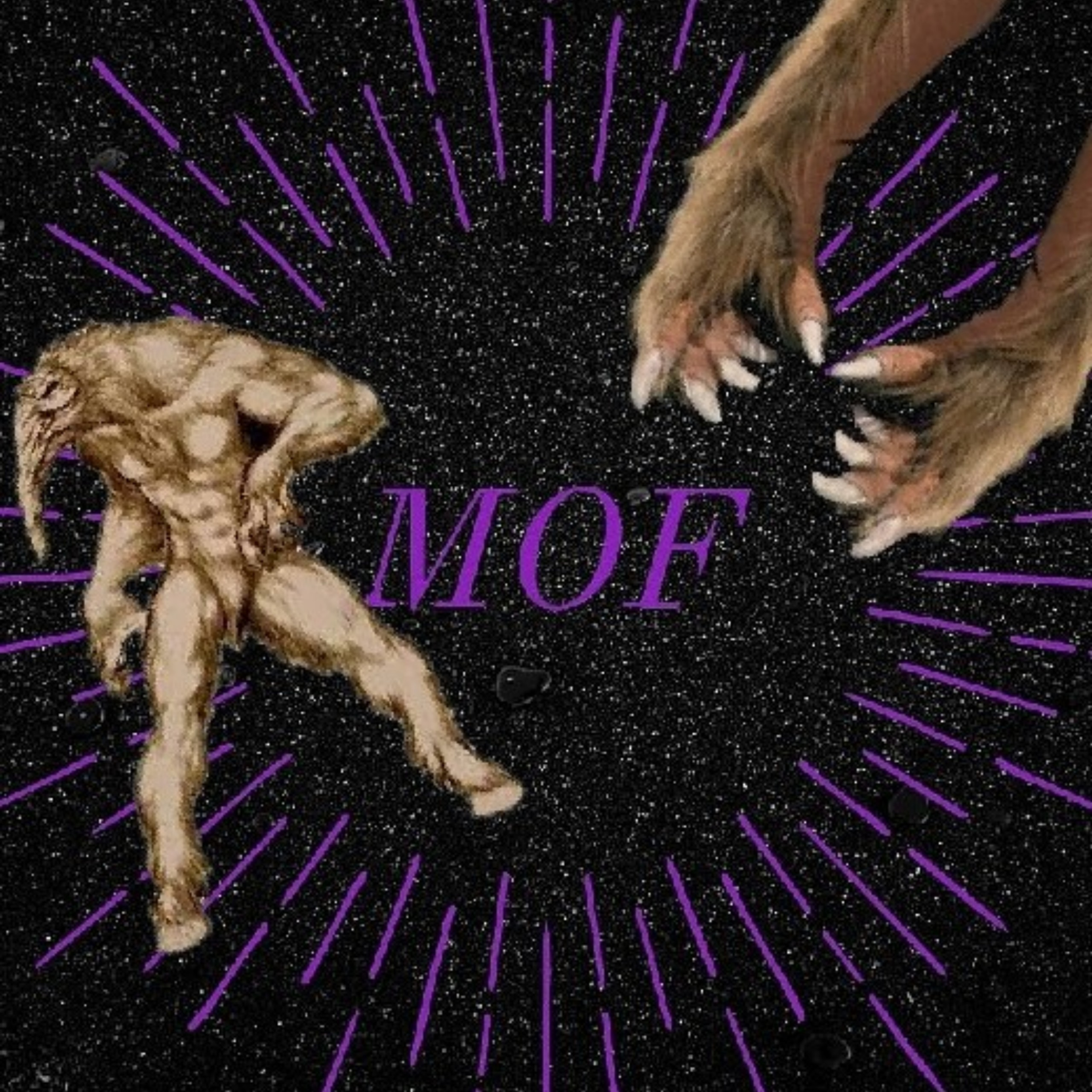 MOF