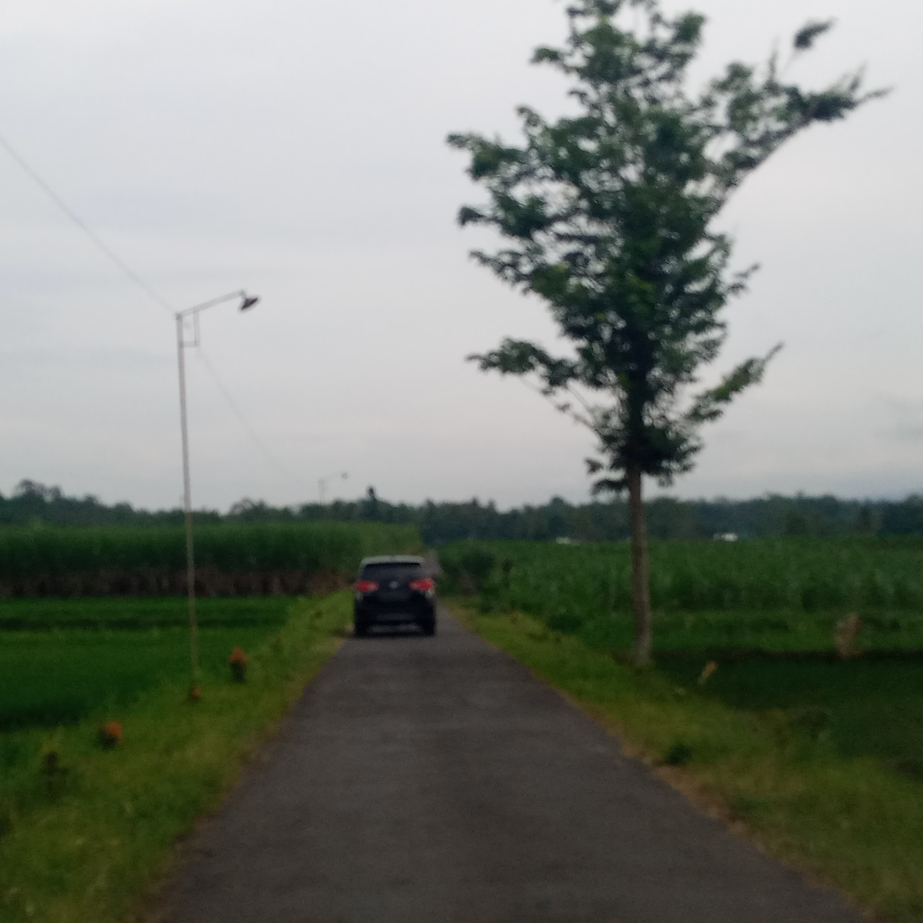 Obrolan Pantry