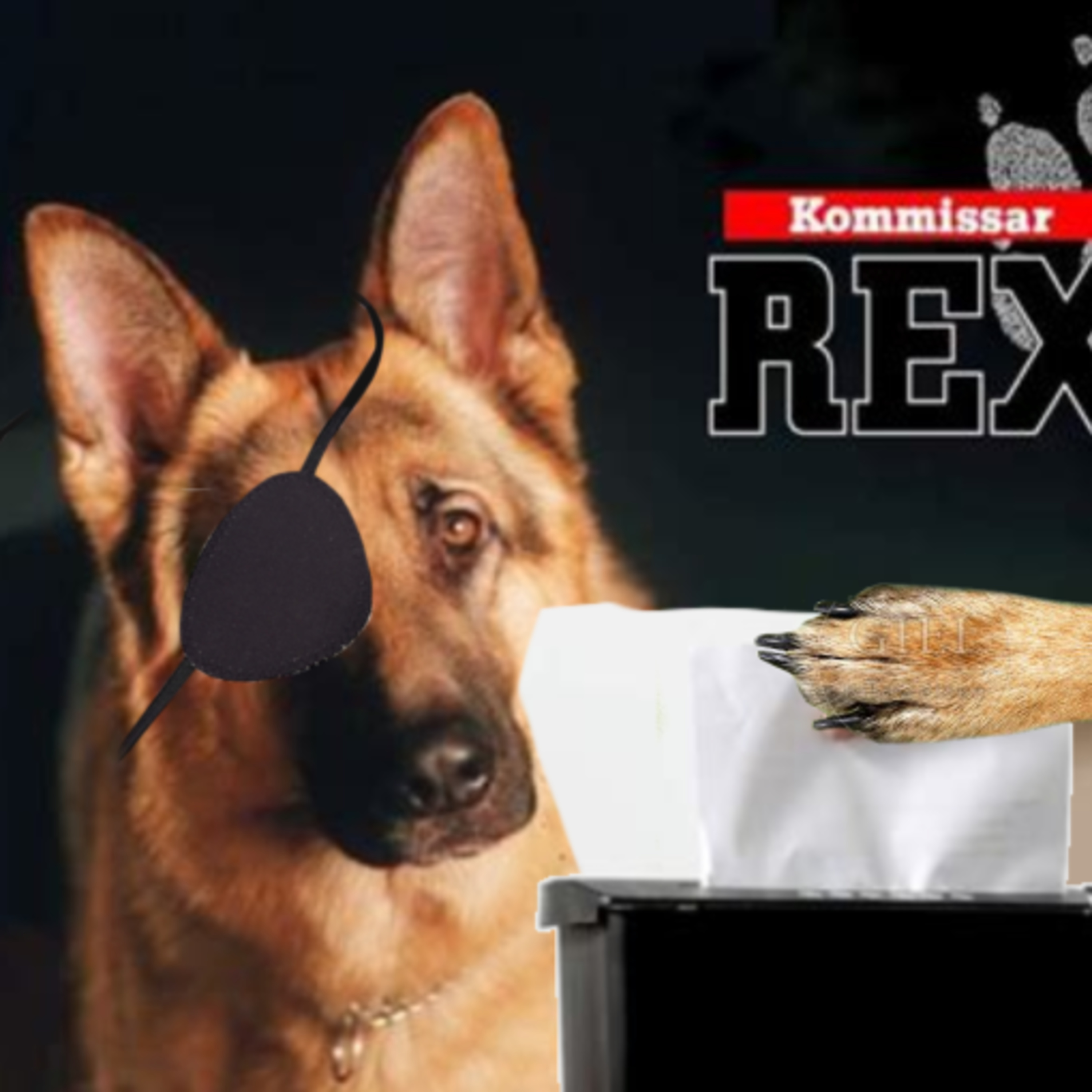 HölleHölleHölleCast
