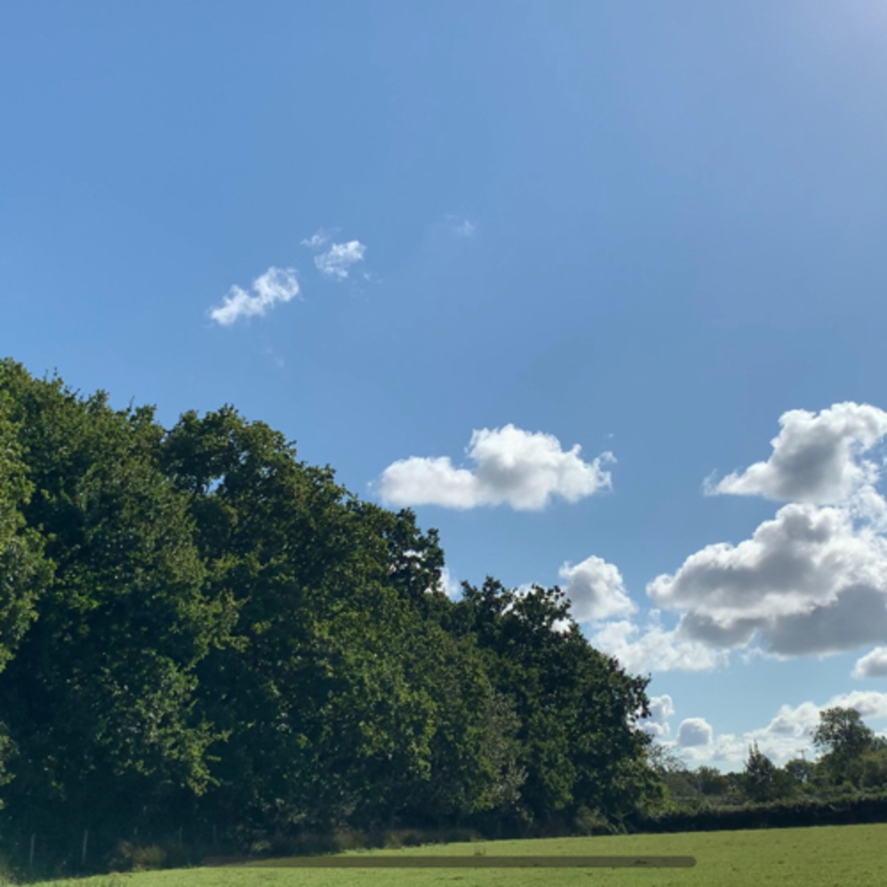 Everyday Fitness & Wellbeing