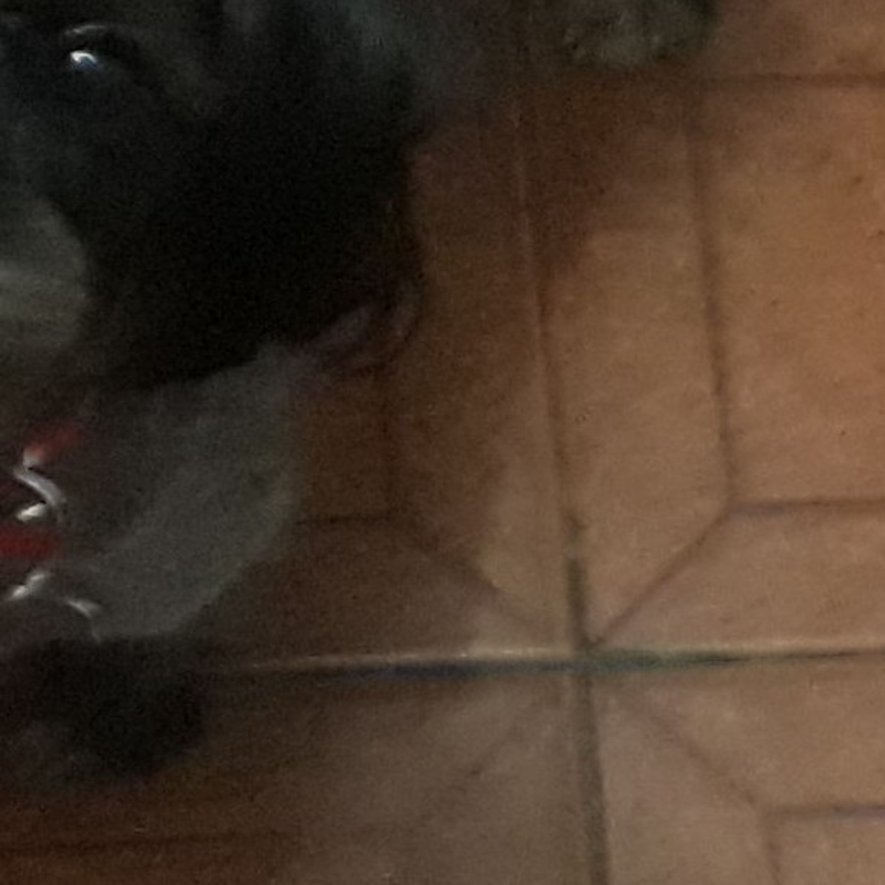 Brincanagem