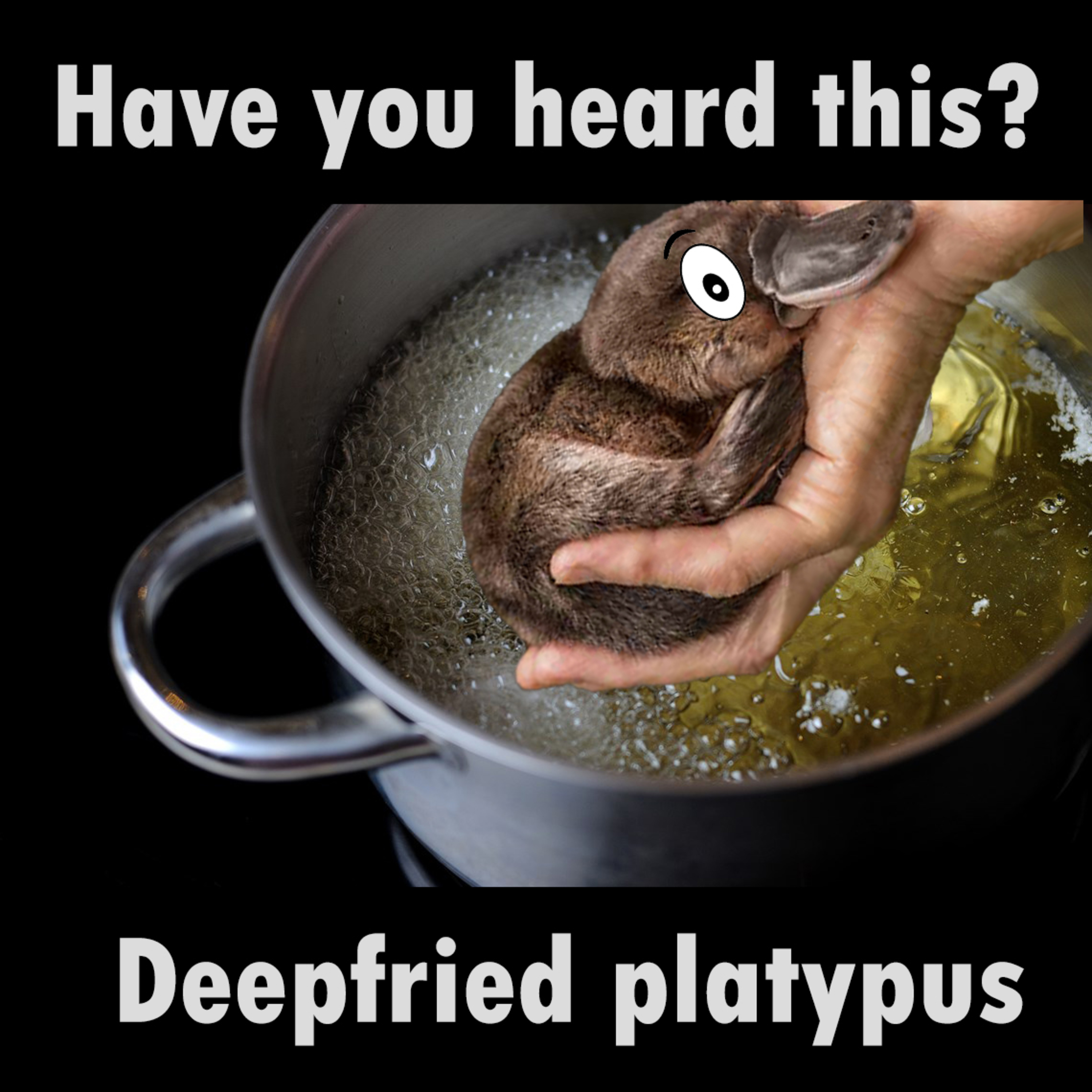Deepfried platypus episode artwork