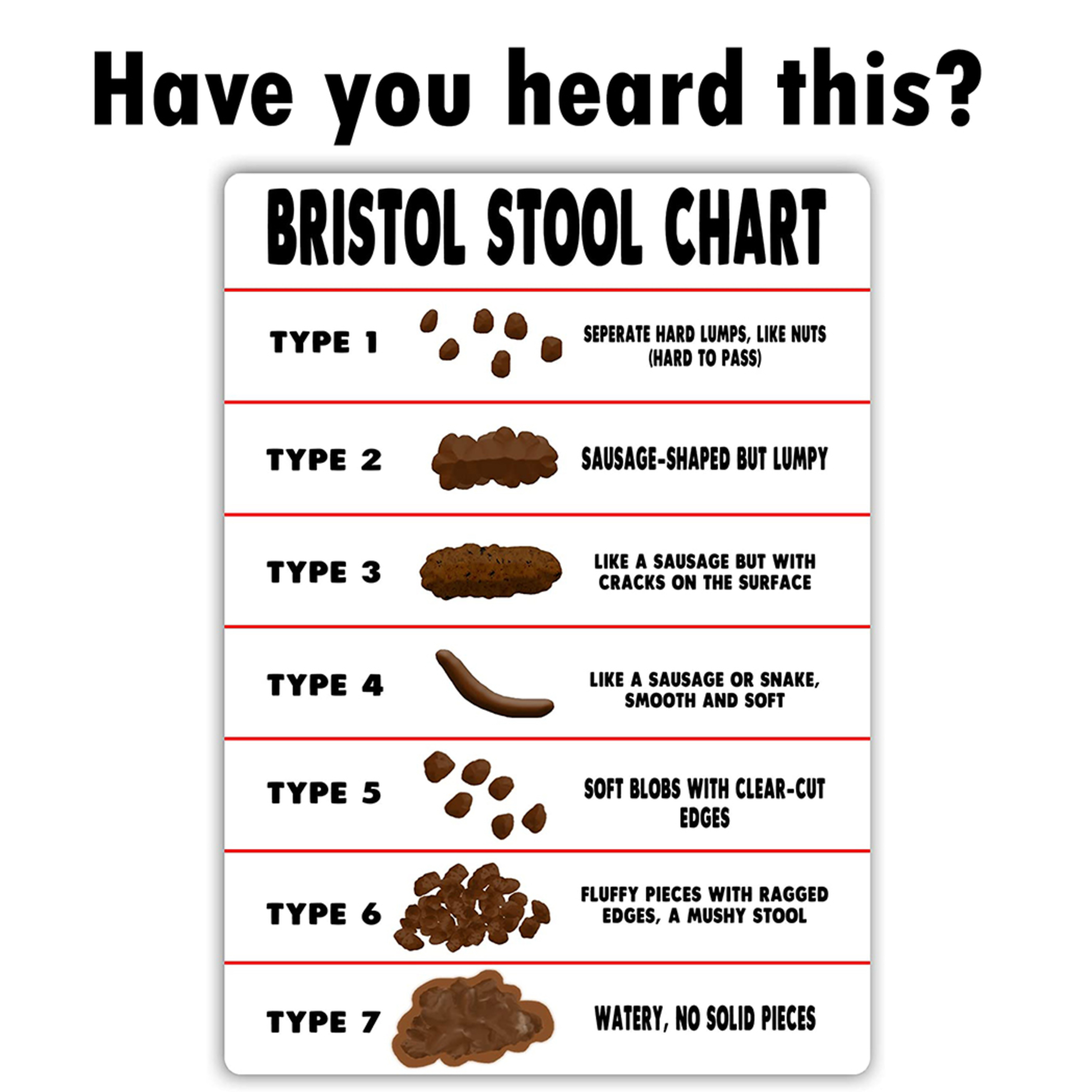 The Bristol stool chart episode artwork