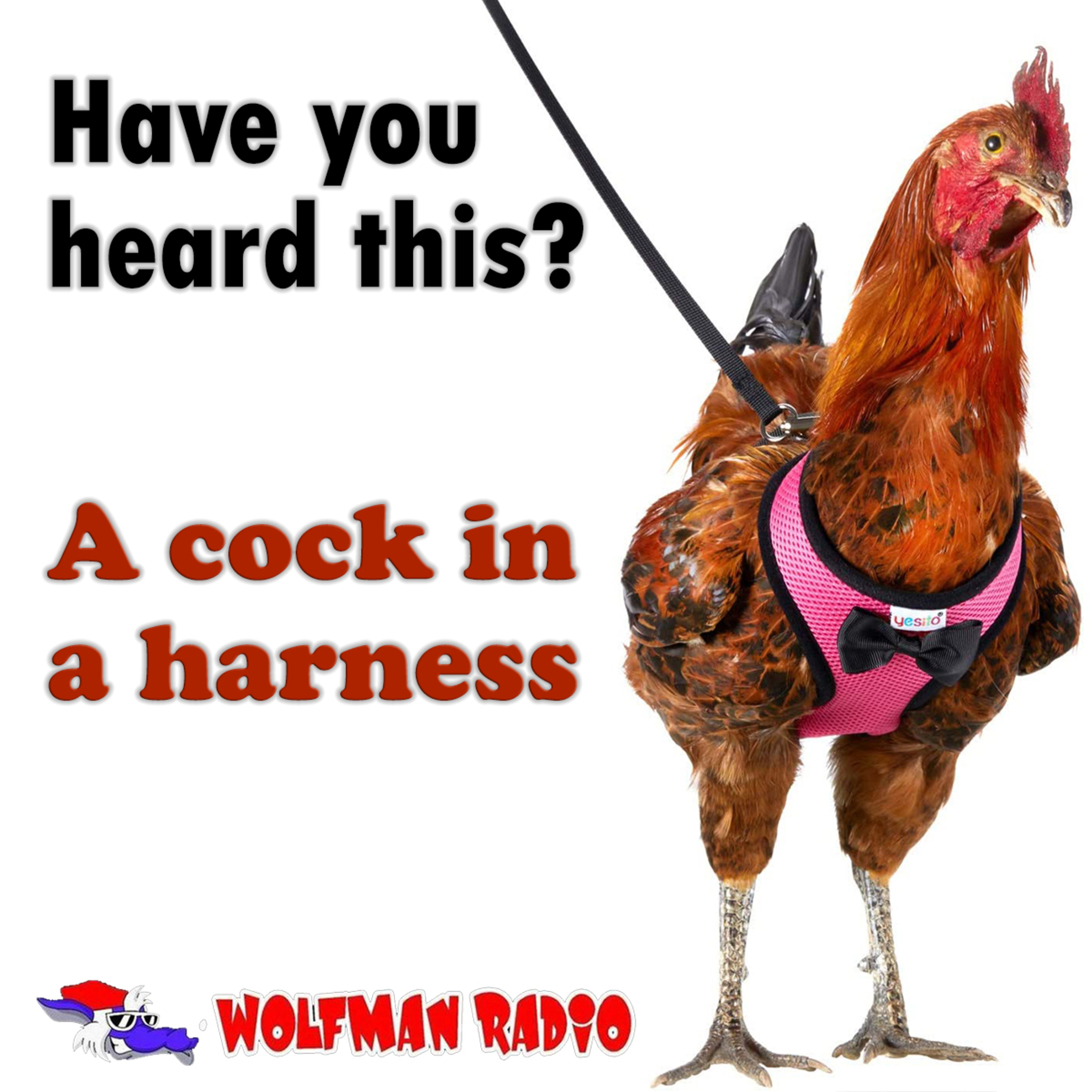 A cock in a harness episode artwork