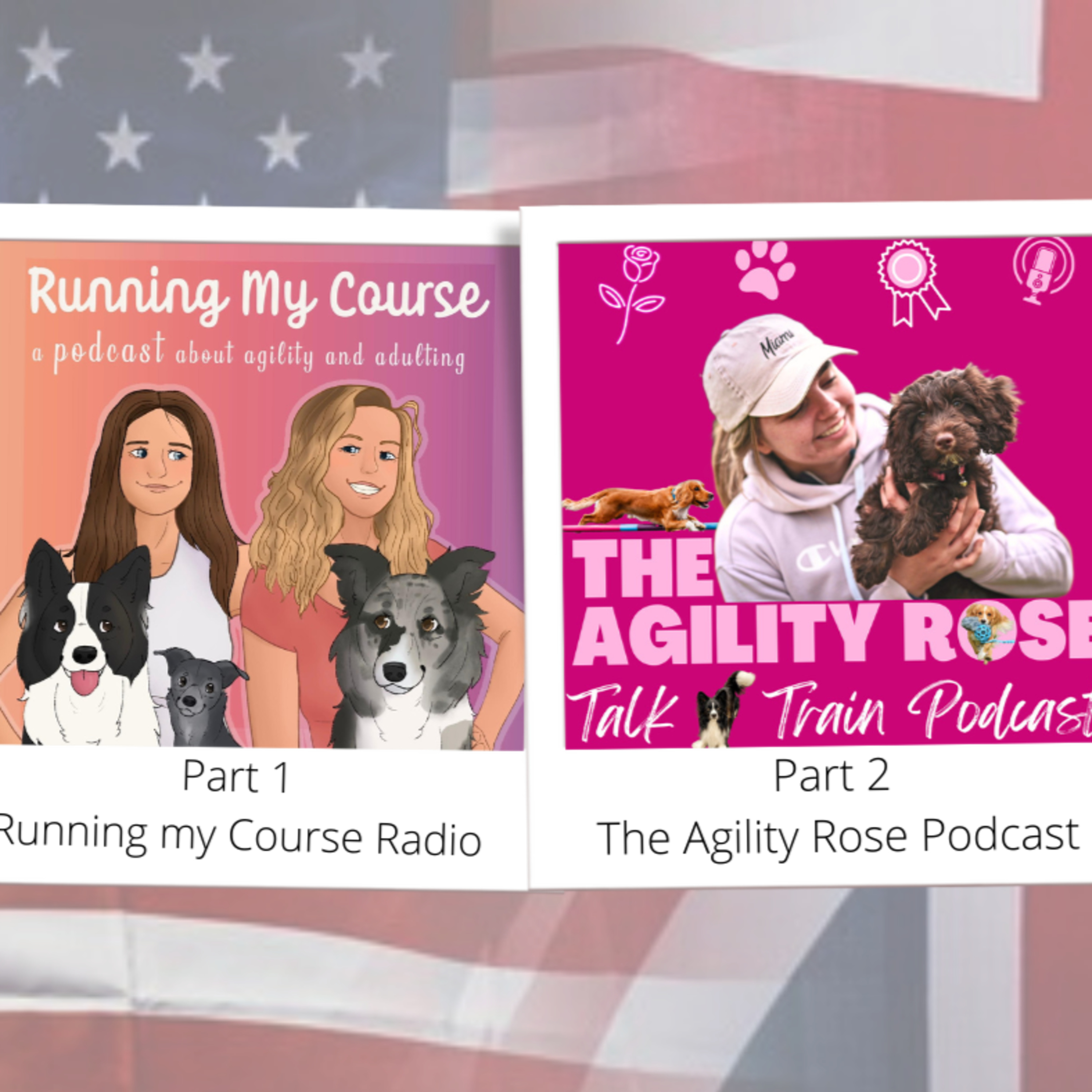 The Agility Rose - Talk n’ Train Podcast