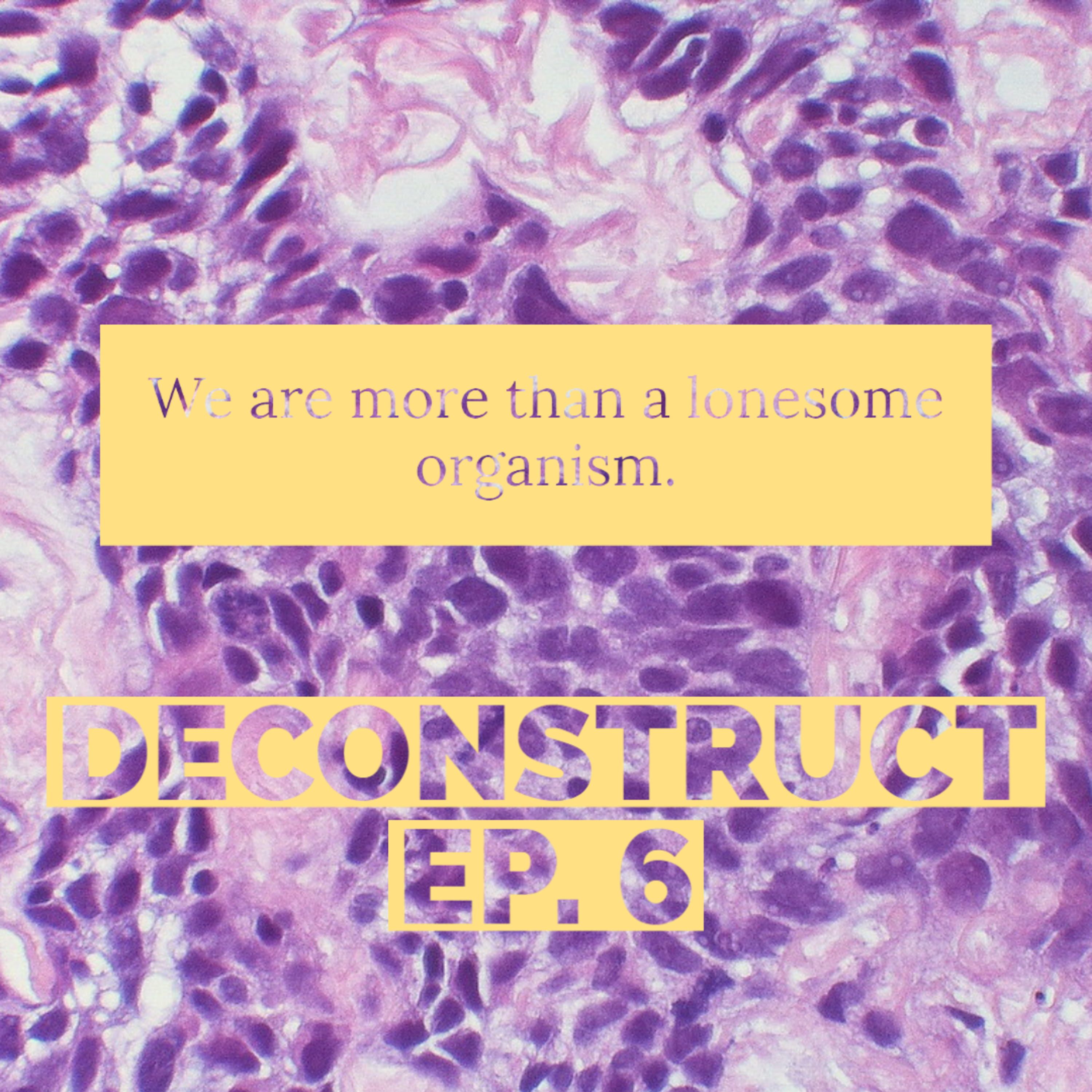 Deconstruct