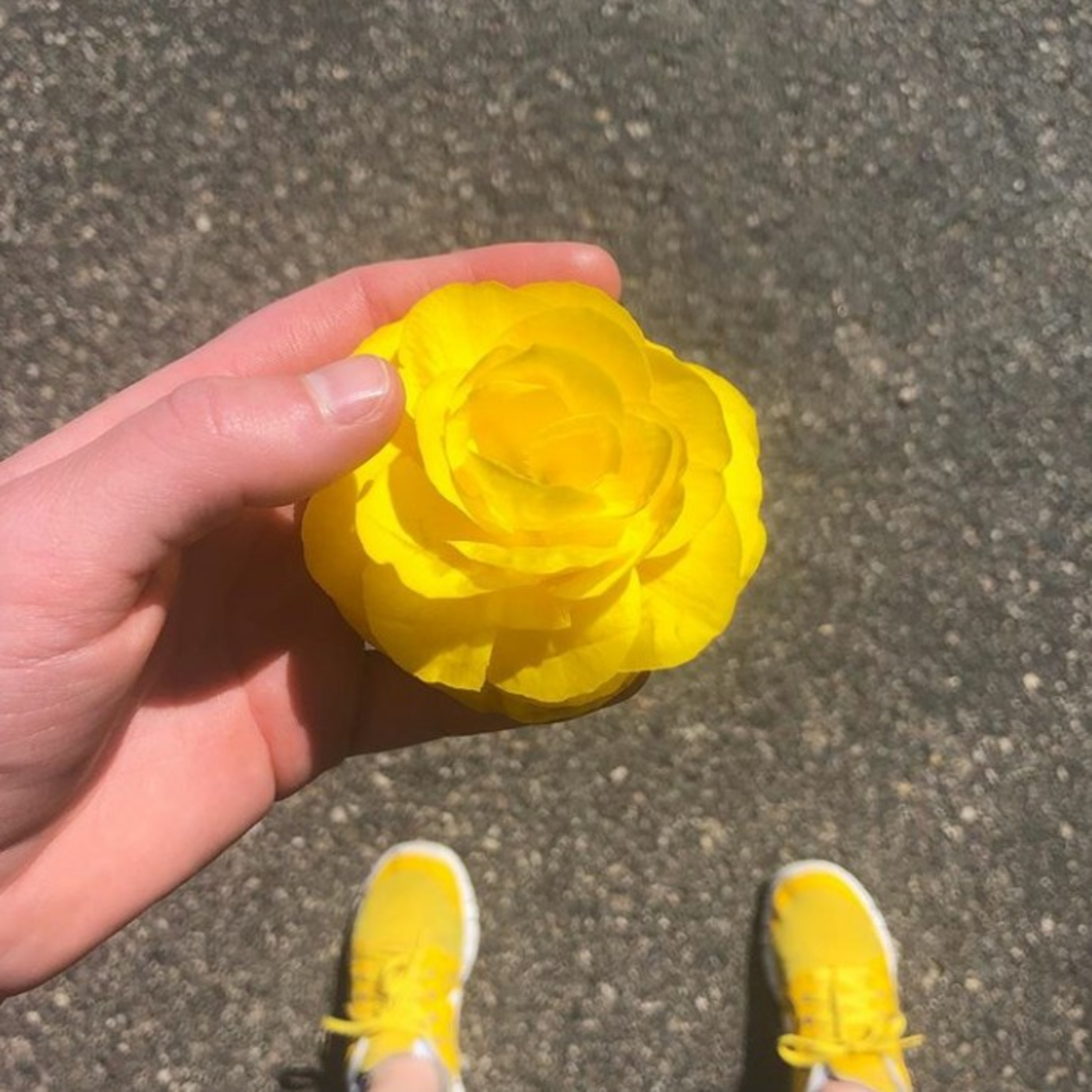 Warm Mug of Phantom Poetry