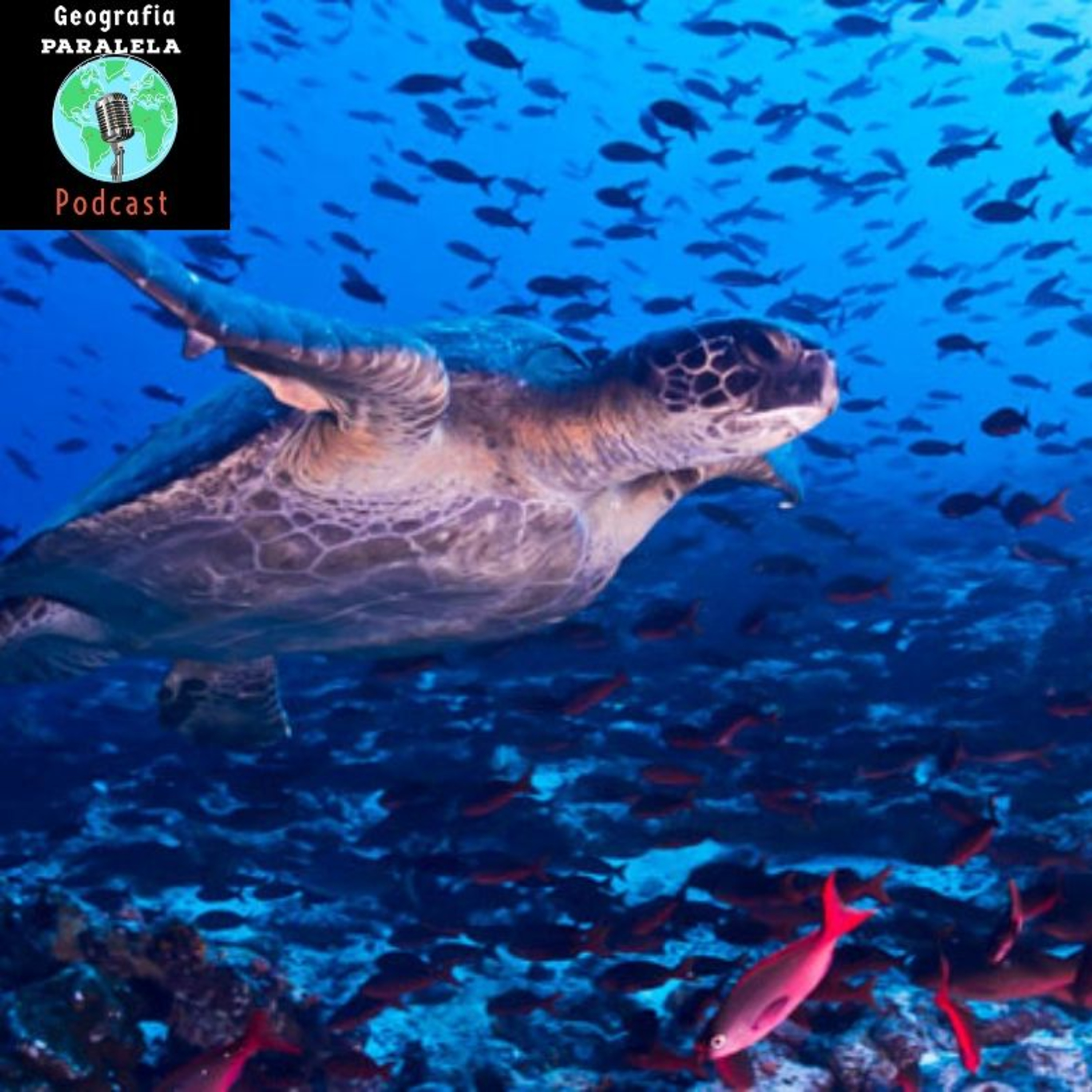 Bunus Track Creación De Las Islas