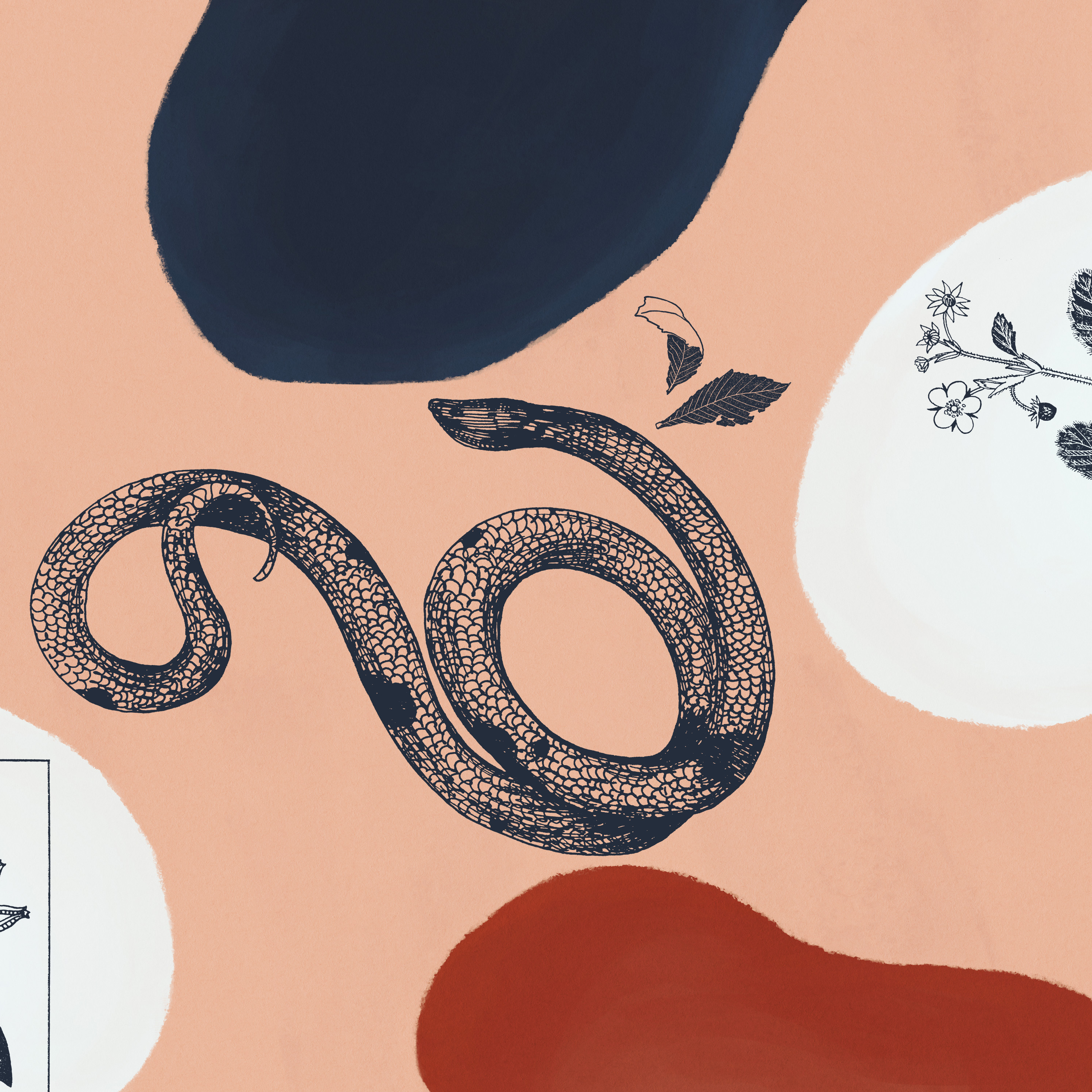Origins of Snake Oil: The Truth About the Most Famous Retracted COVID-19 Study episode artwork