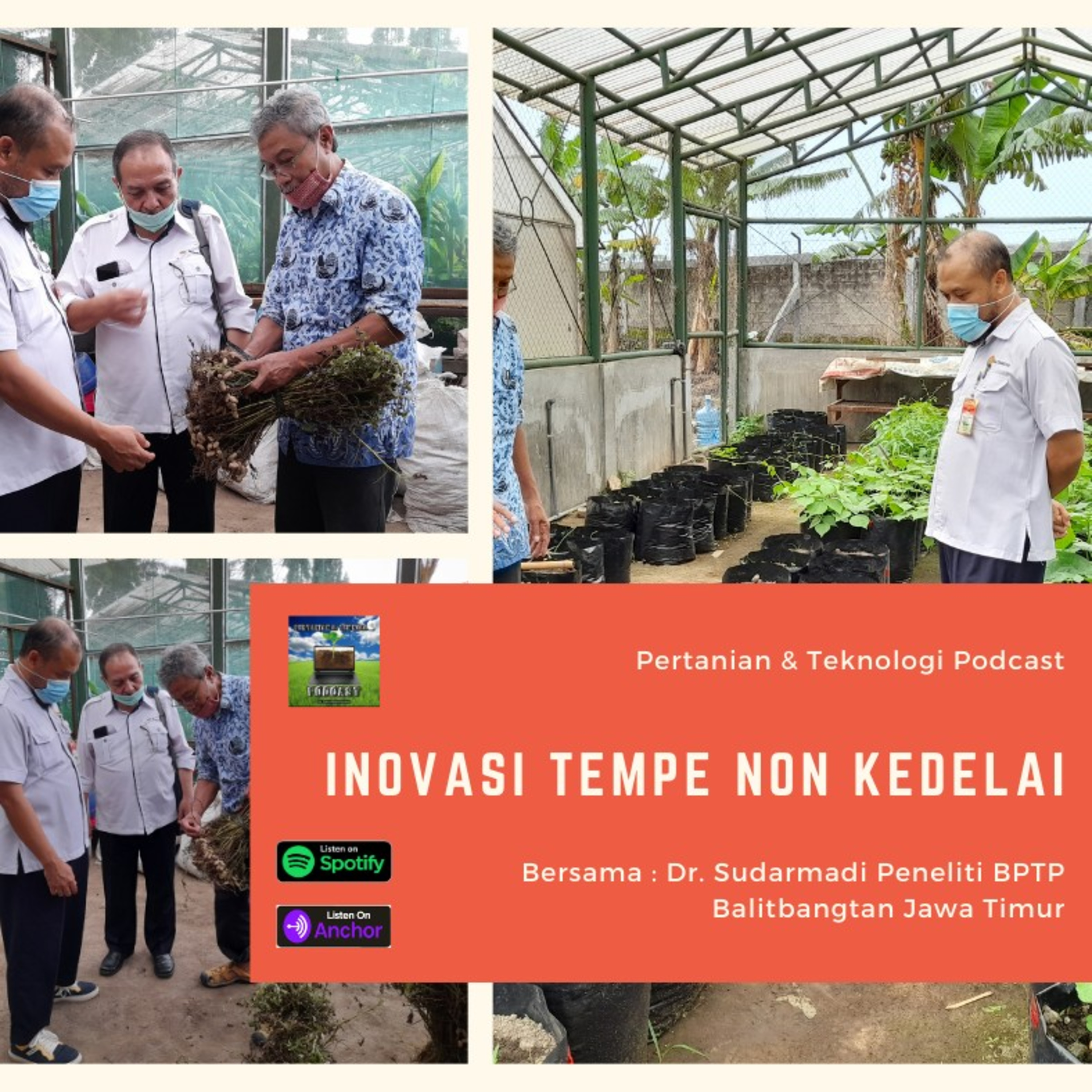 Epsd. #71 "Inovasi Tempe Non Kedelai" Bersama Dr. Sudarmadi Peneliti BPTP Balitbangtan Jawa Timur episode artwork