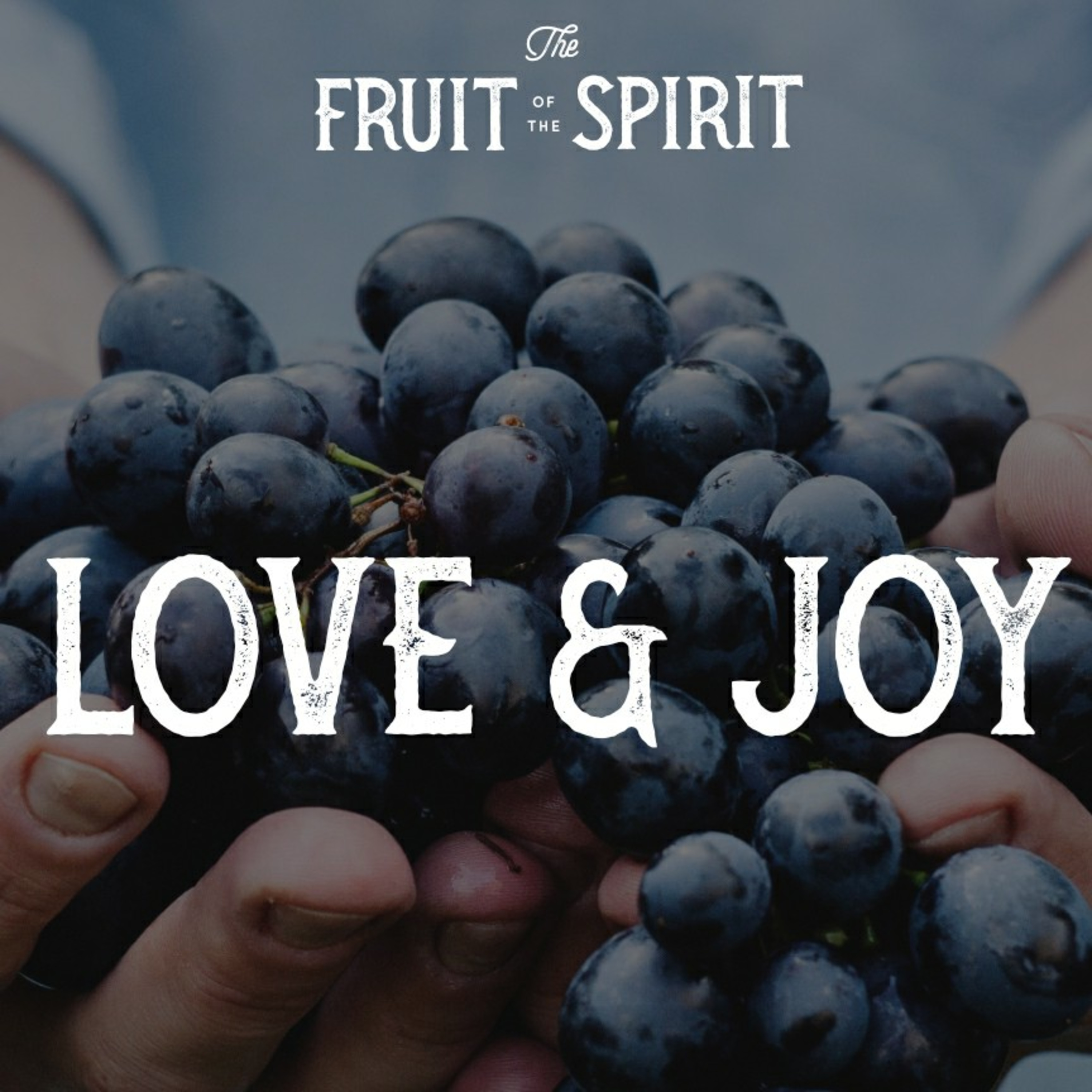 Love and Joy episode artwork
