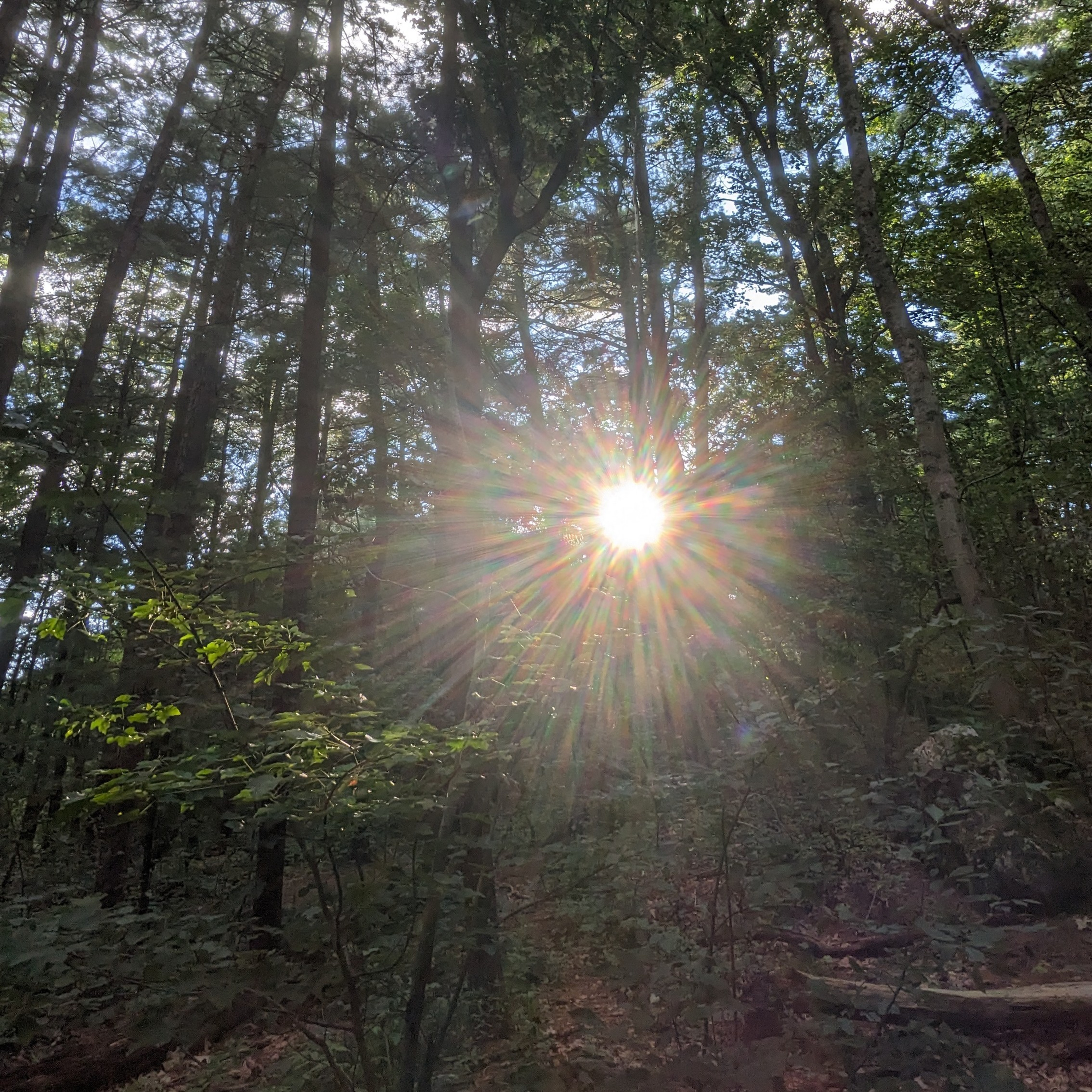 Spiritual Support Group Podcast