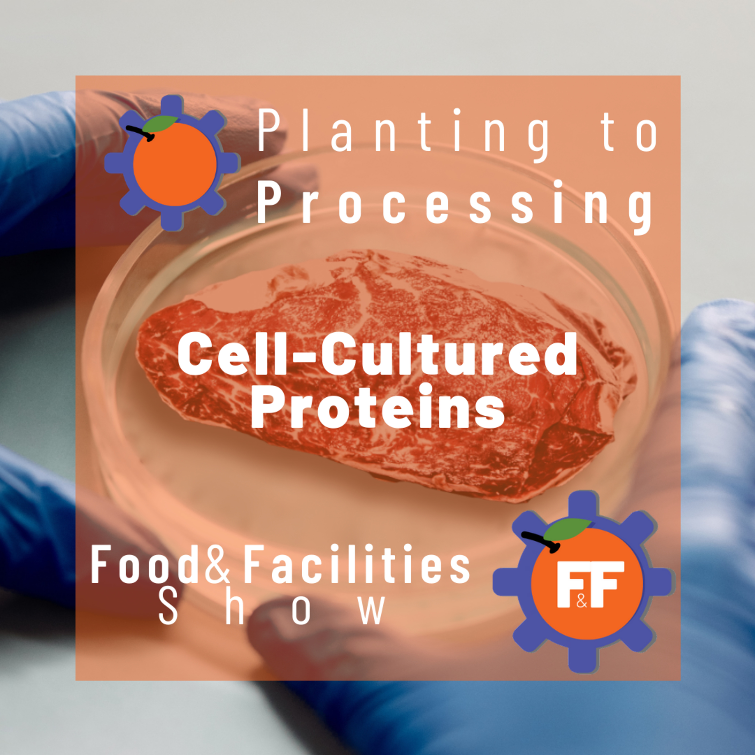 Food & Facilities