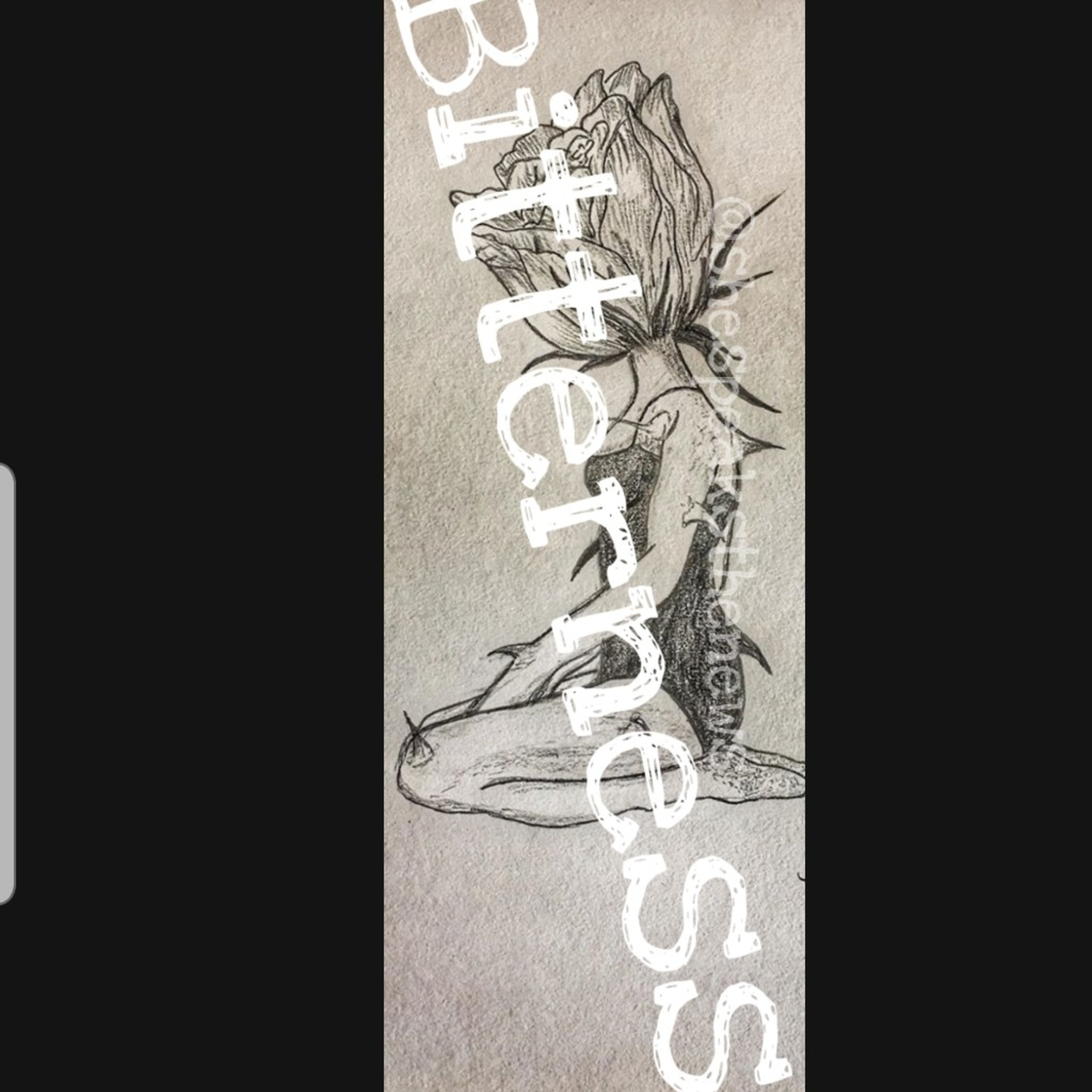 SheSpreadsTheNews