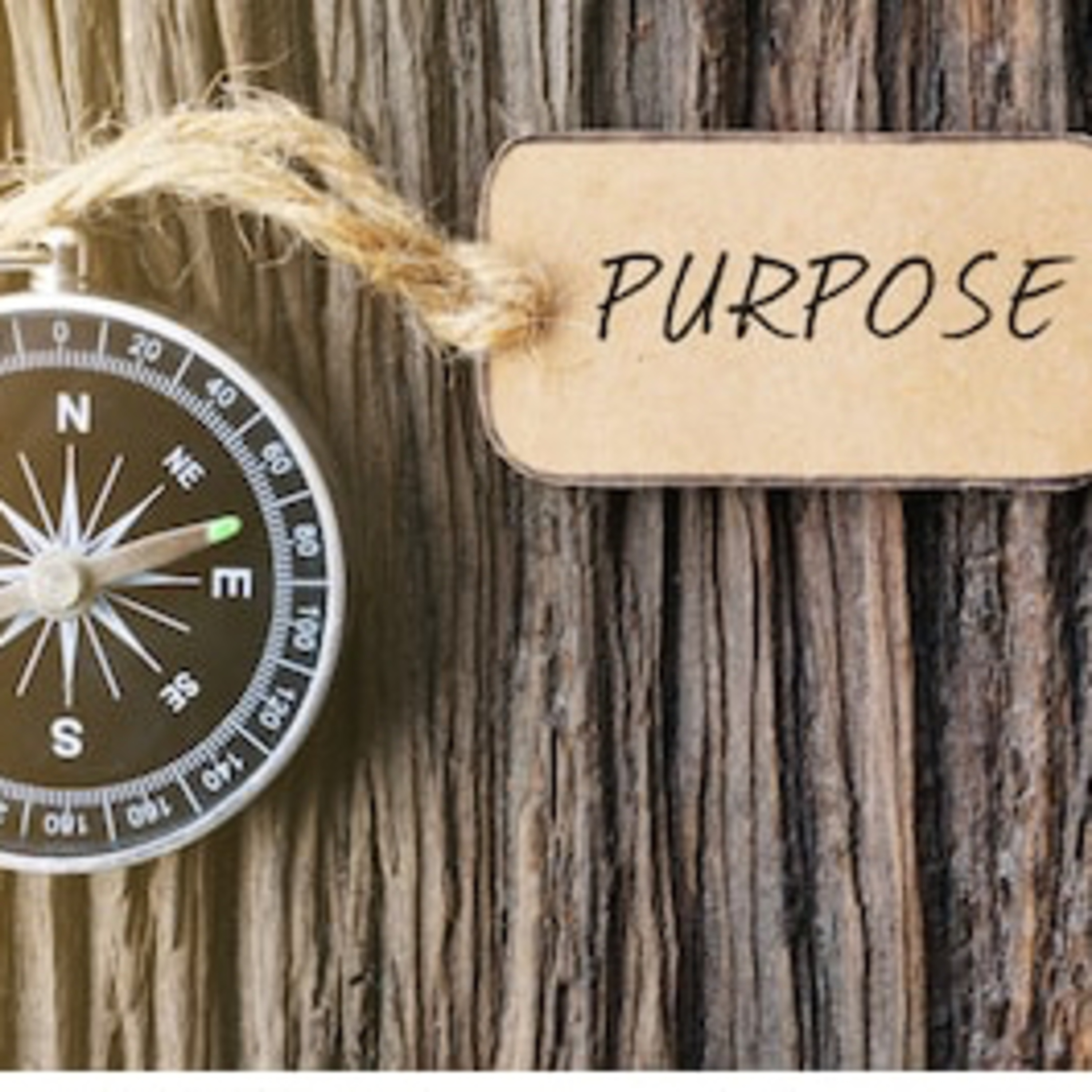 The Purpose of the Pause episode artwork