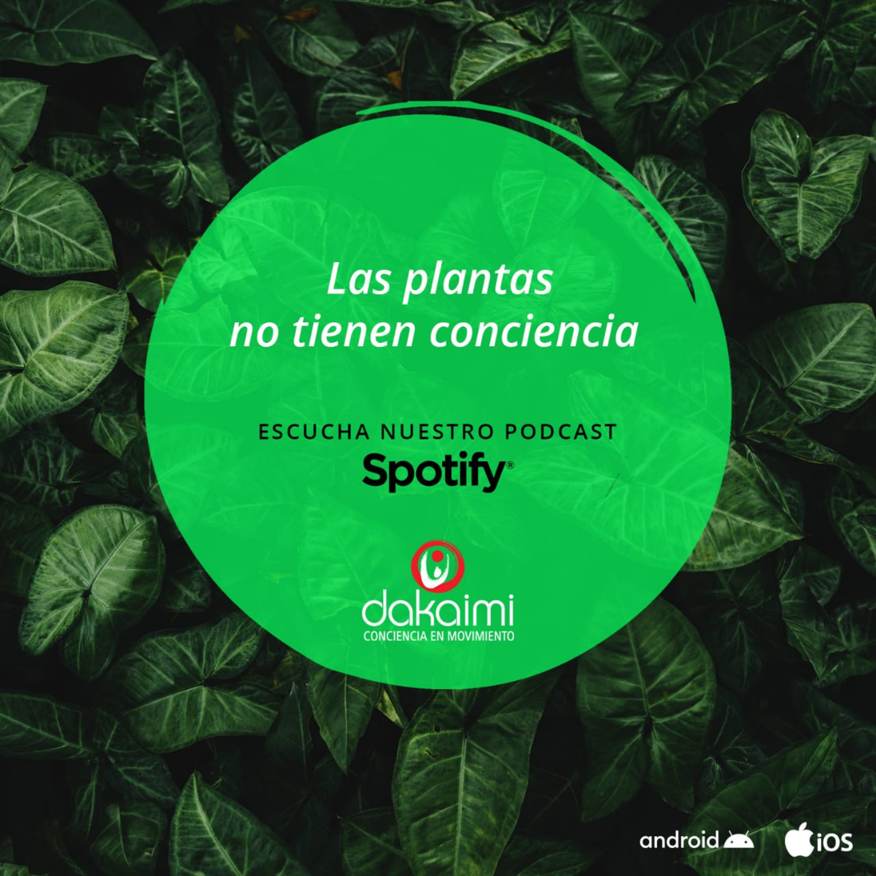 Vivir sin Límites