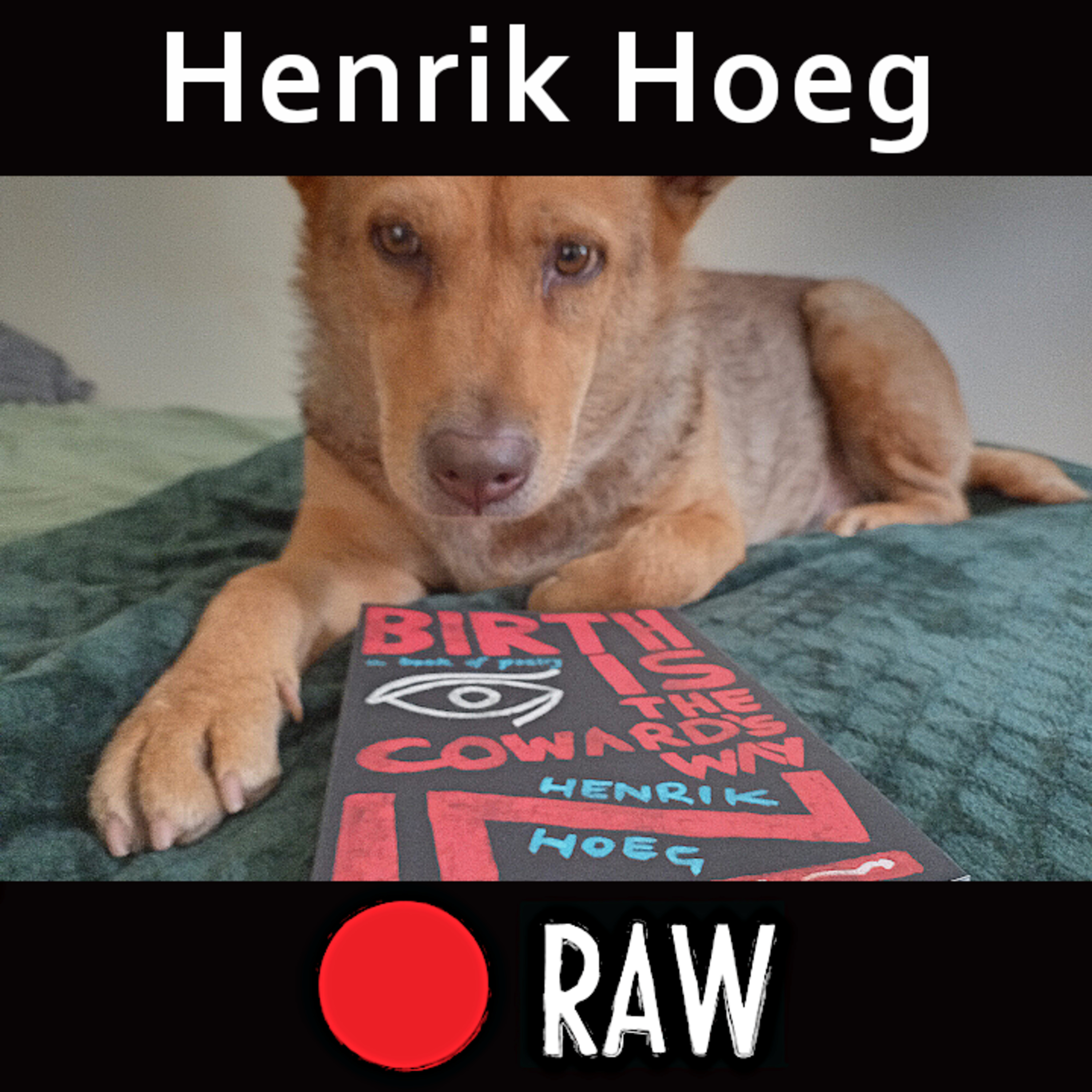 Shooting it RAW with Ran Elfassy