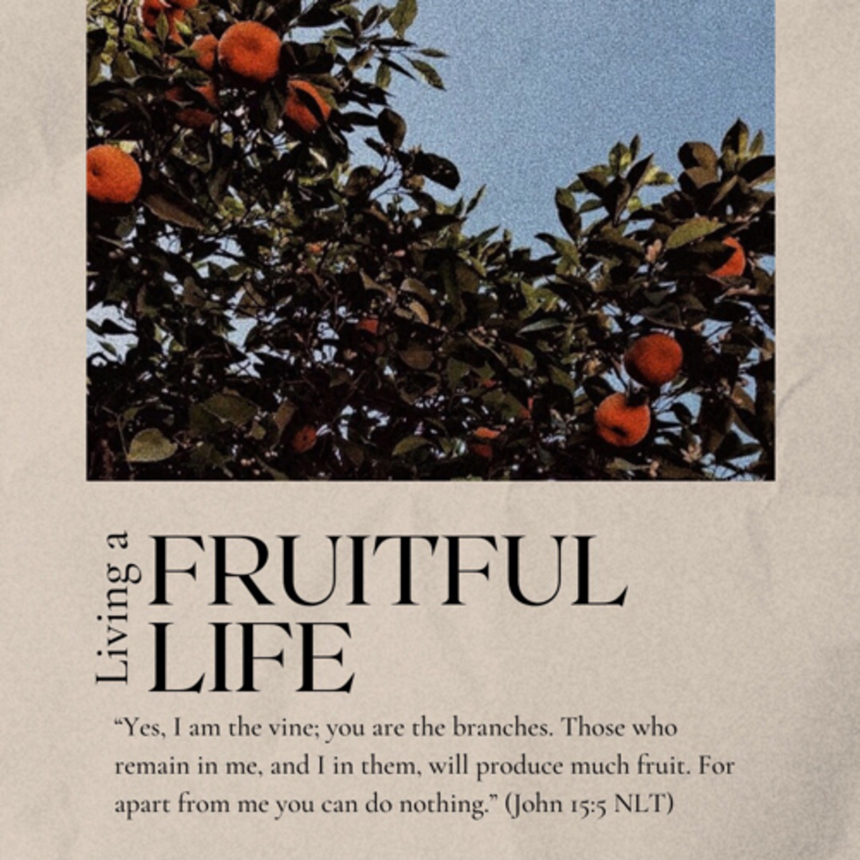 #WWW - LIVING A FRUITFUL LIFE