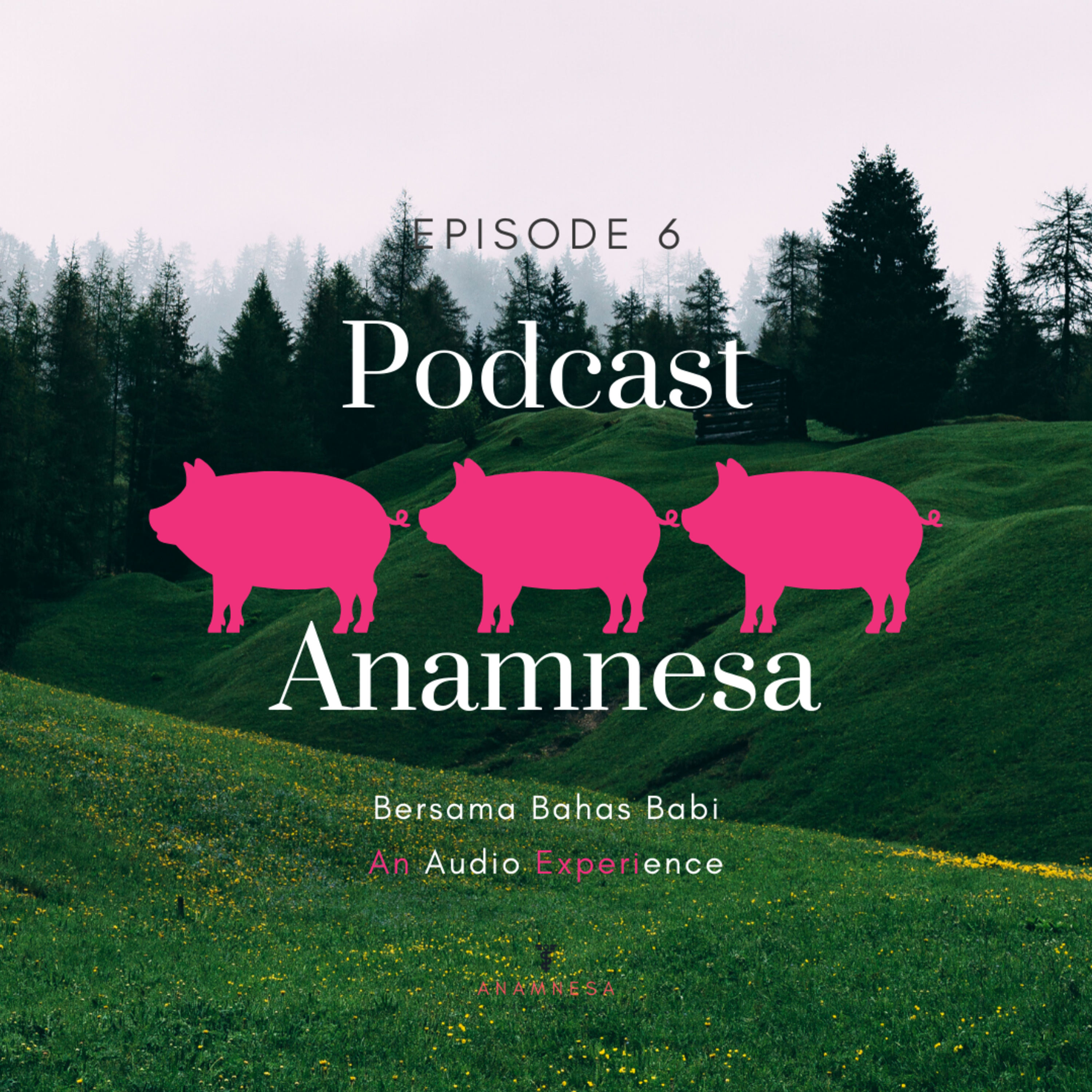 Anamnesa