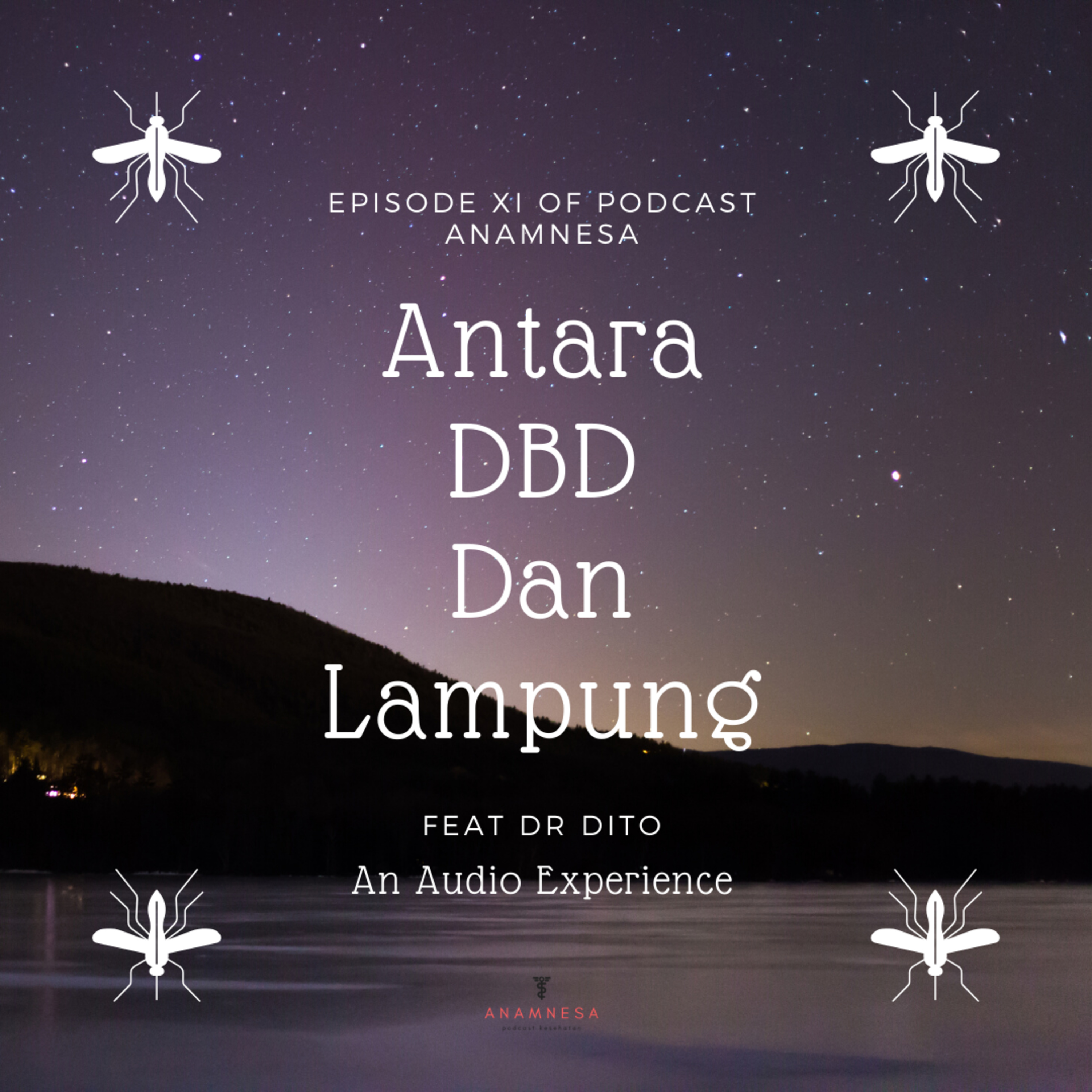 Anamnesa