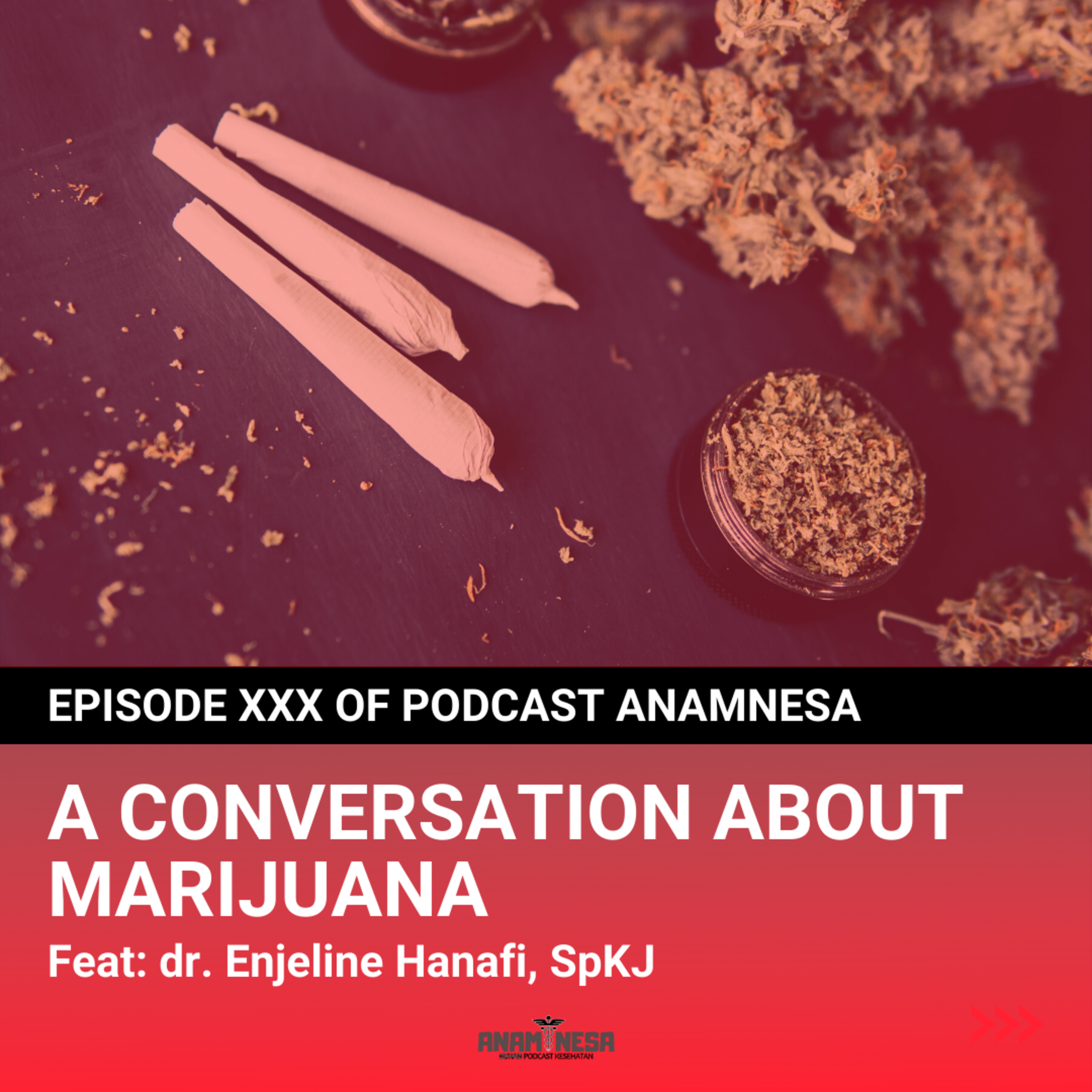 Anamnesa