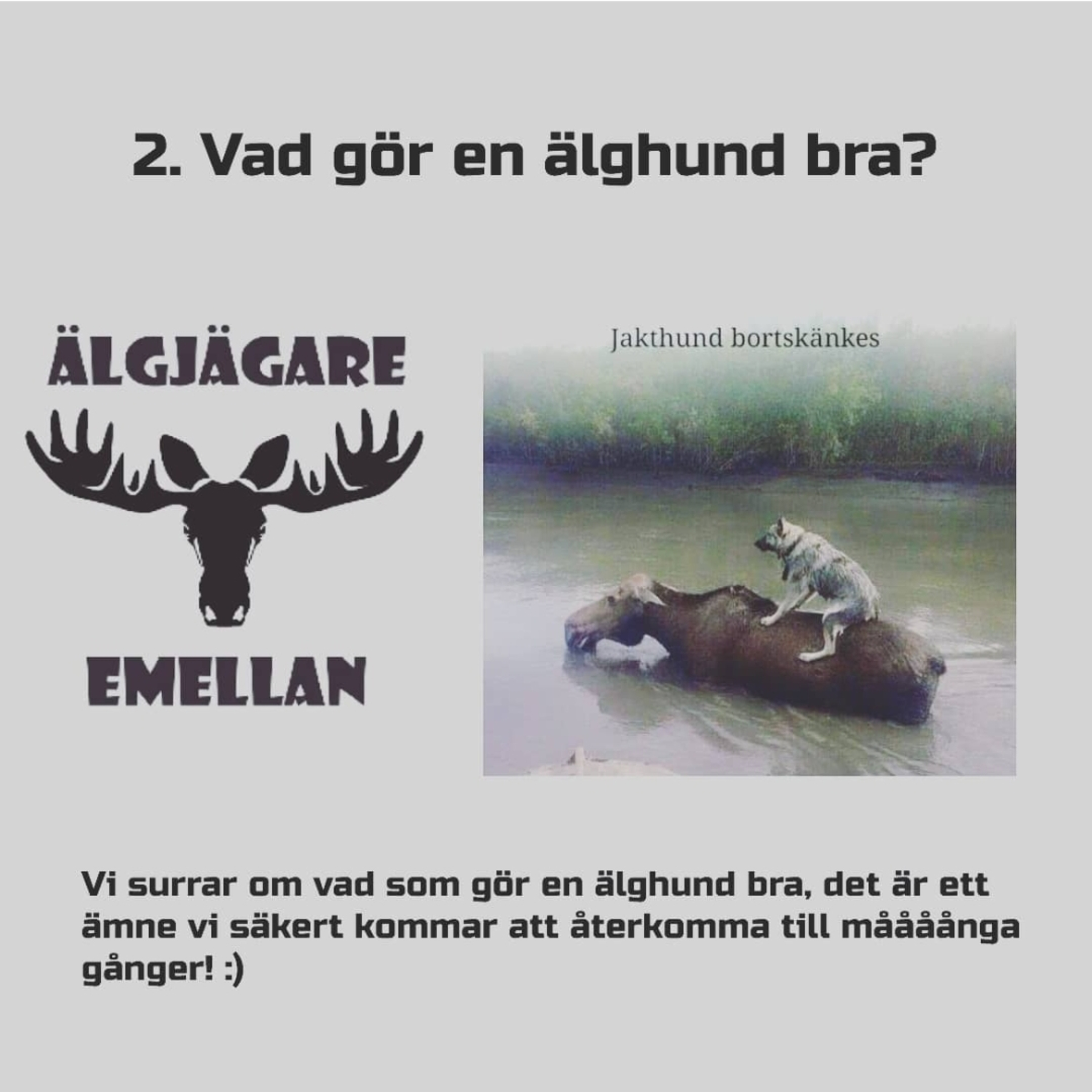 2. Vad gör en älghund bra? episode artwork