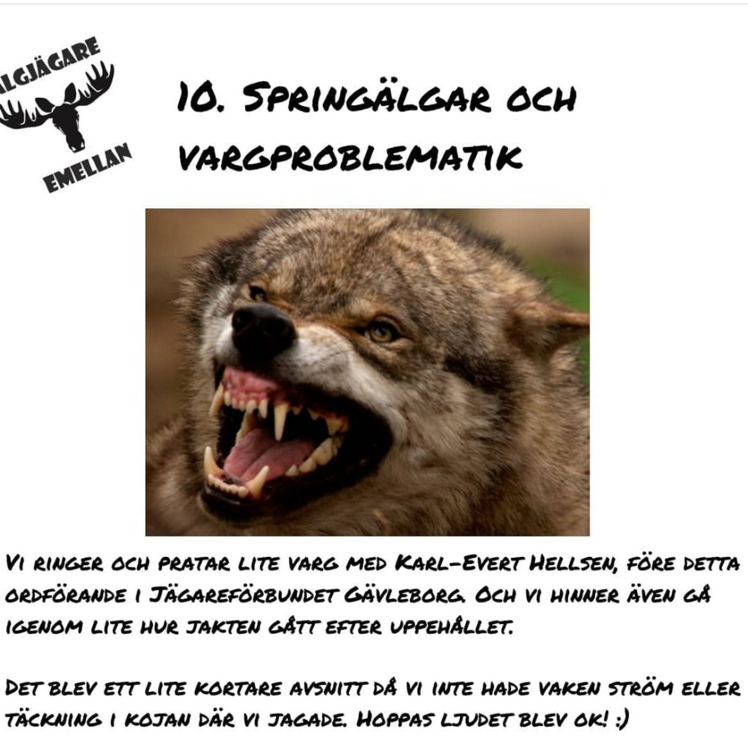 10. Springälgar och vargproblematik episode artwork